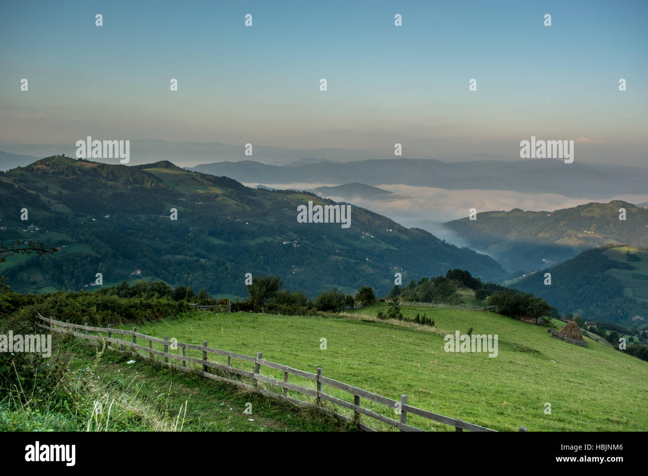 Nebligen Morgen im Nationalpark Tara Stockfoto