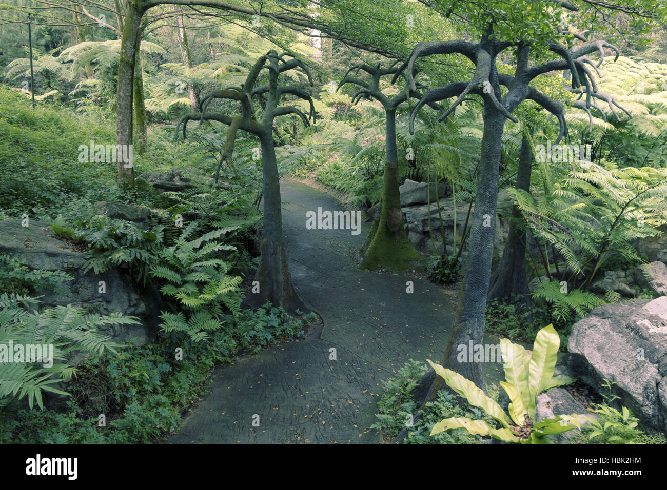 Singapur Botanischer Garten Stockfoto