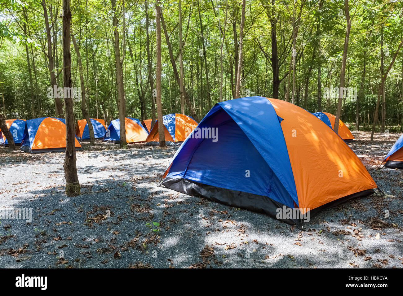 Camping und Zelten Stockfoto