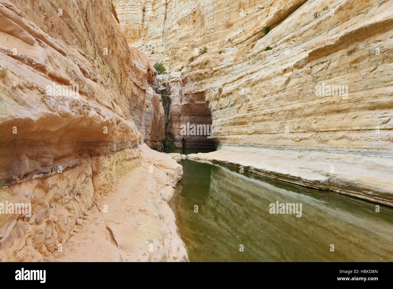 Die malerische Schlucht Ein Avdat Stockfoto