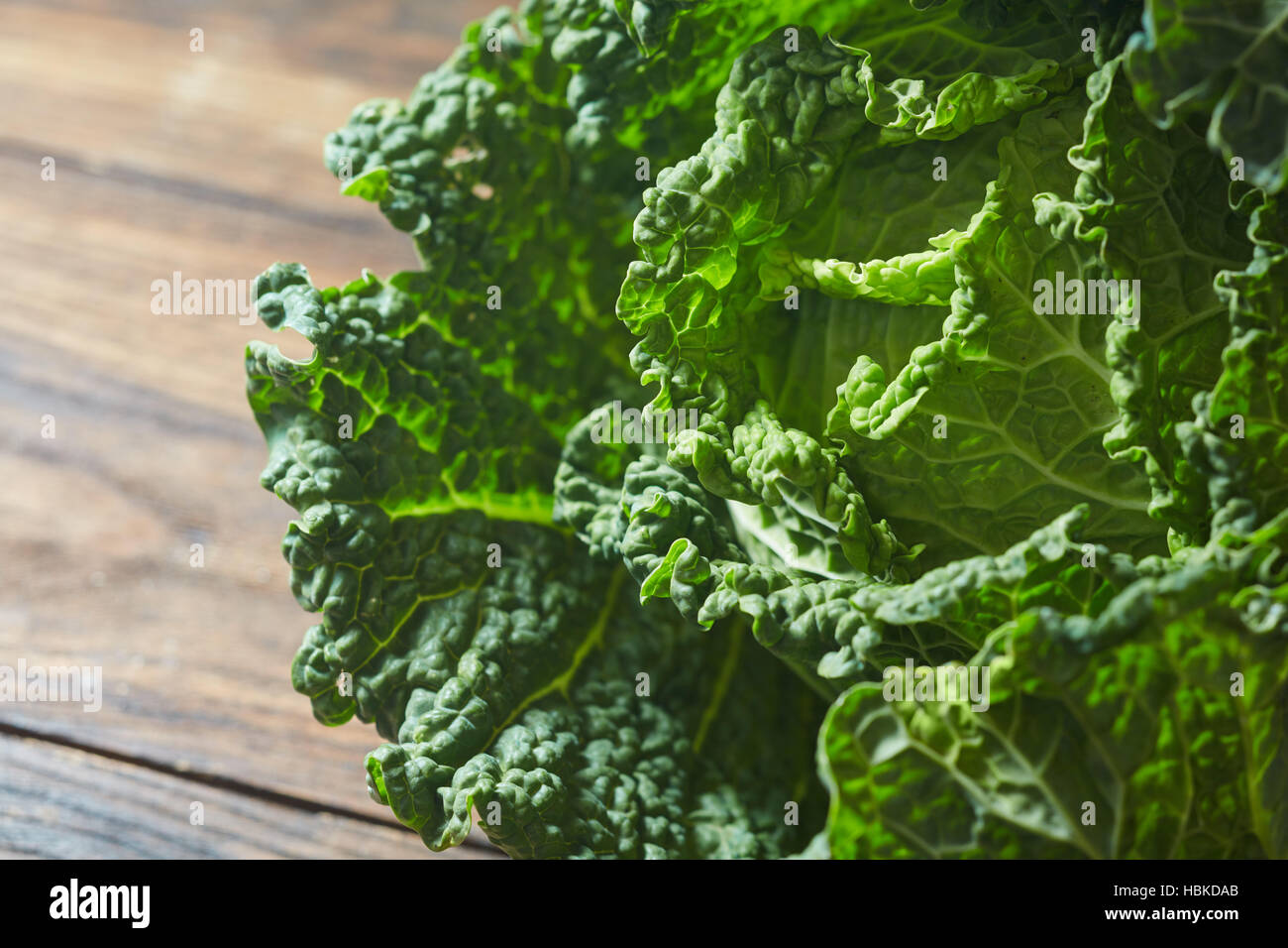 Savoy Cabbage Supernahrung hautnah. Stockfoto