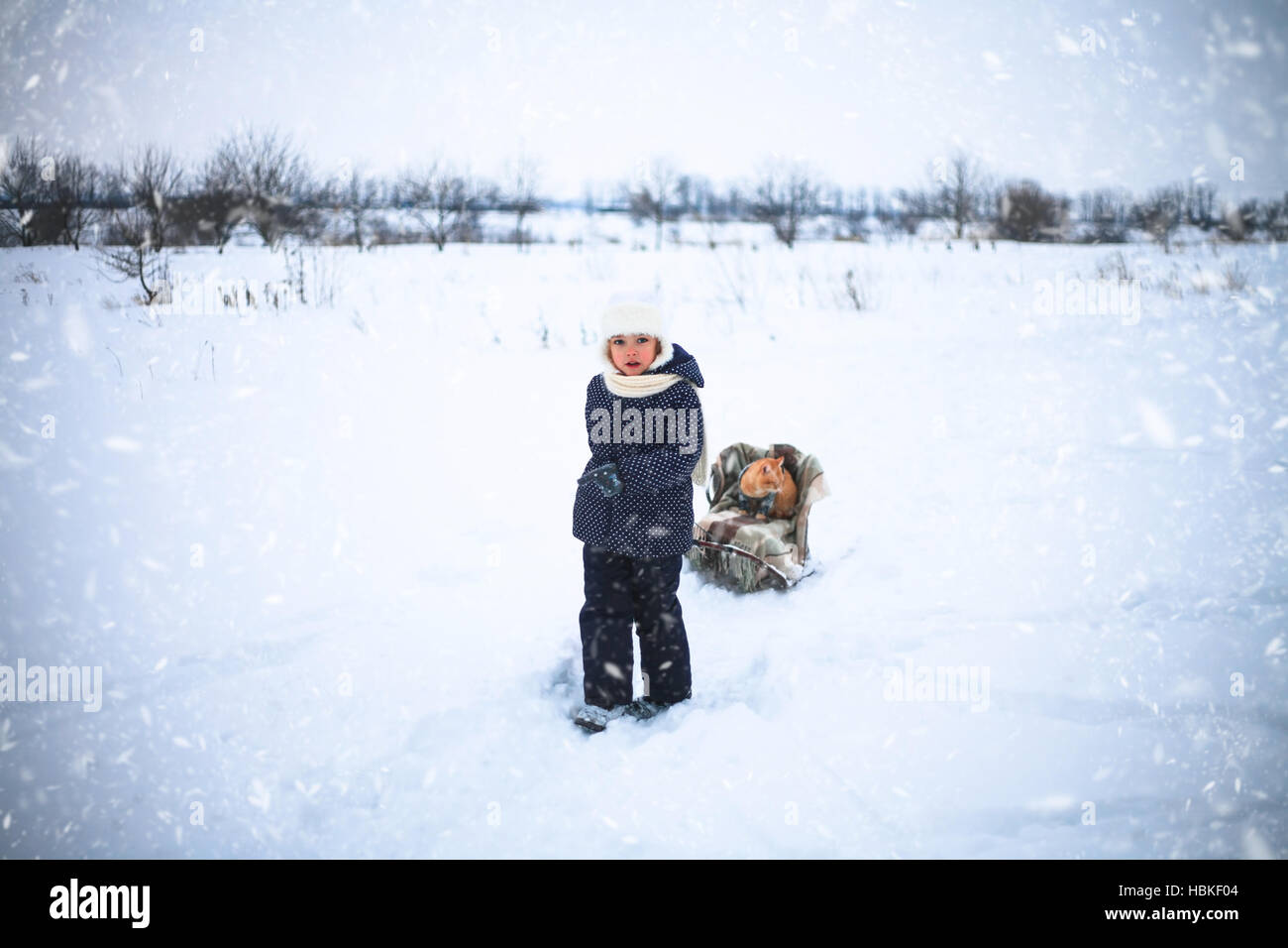 Kleines Mädchen fuhr Schlitten Whith eine rote Katze auf Schnee auf dem Lande. Stockfoto