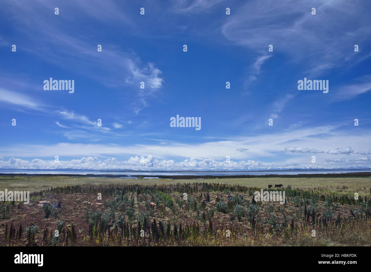 Bolivien, Titicacasee Stockfoto