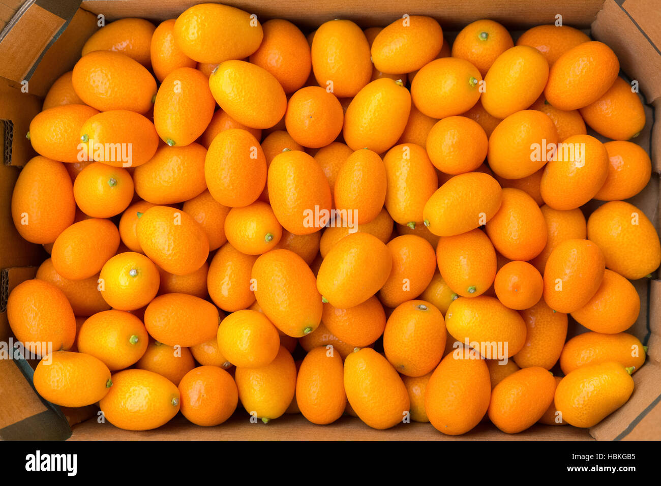 Haufen von orange Kumquats im Karton Stockfoto
