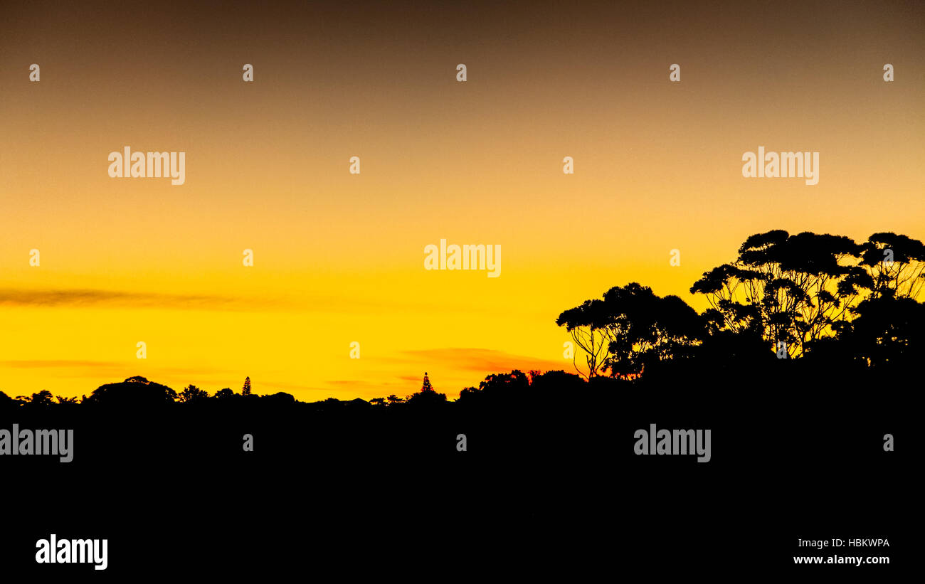 Einfach perfekt, fast gelb Sonnenuntergang Stockfoto