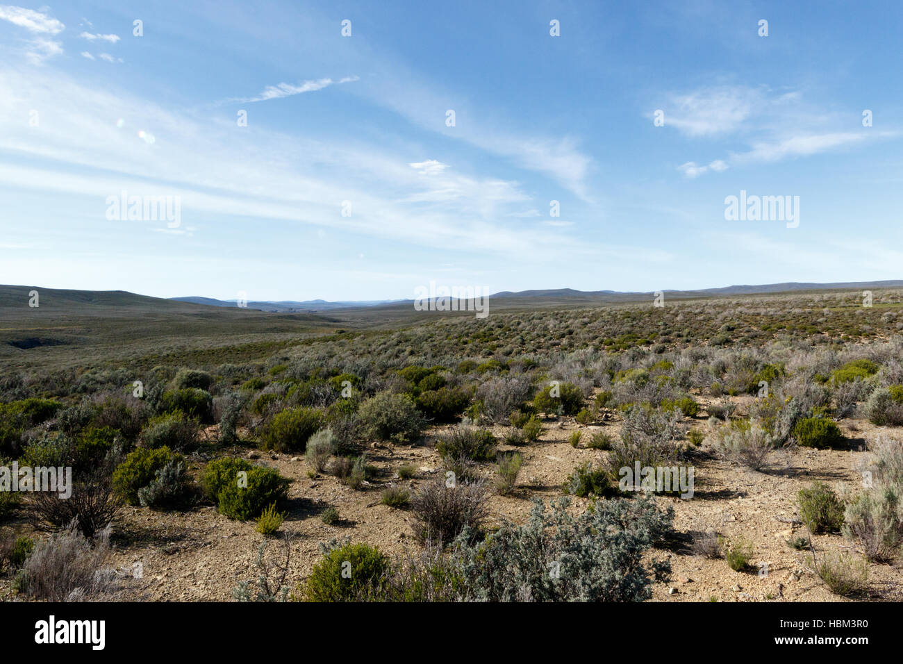 Grüne und blaue Landschaft Tankwa-Karoo Stockfoto