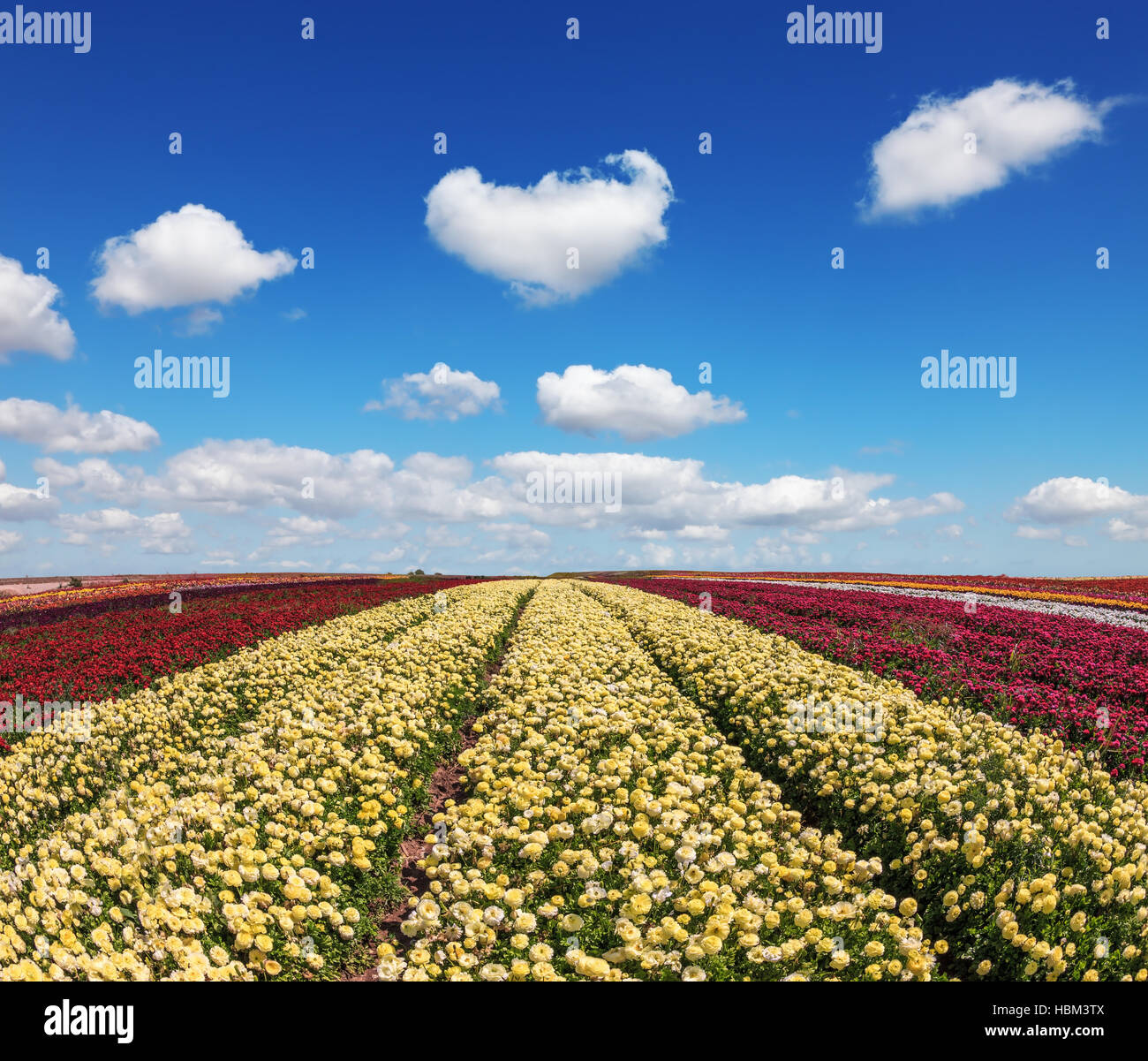 Schönen Frühlingstag Stockfoto