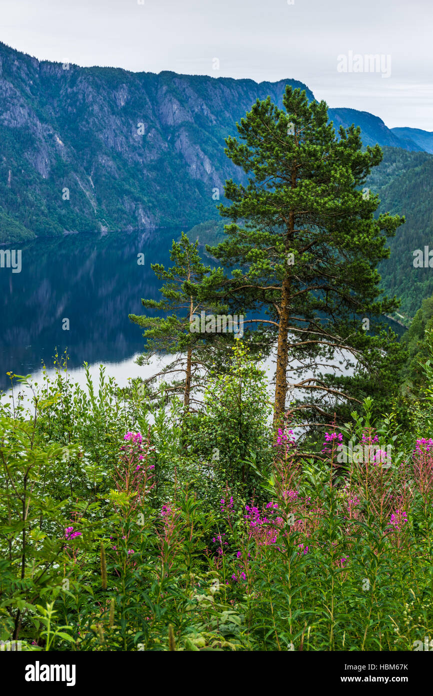 Landschaft in Norwegen Stockfoto