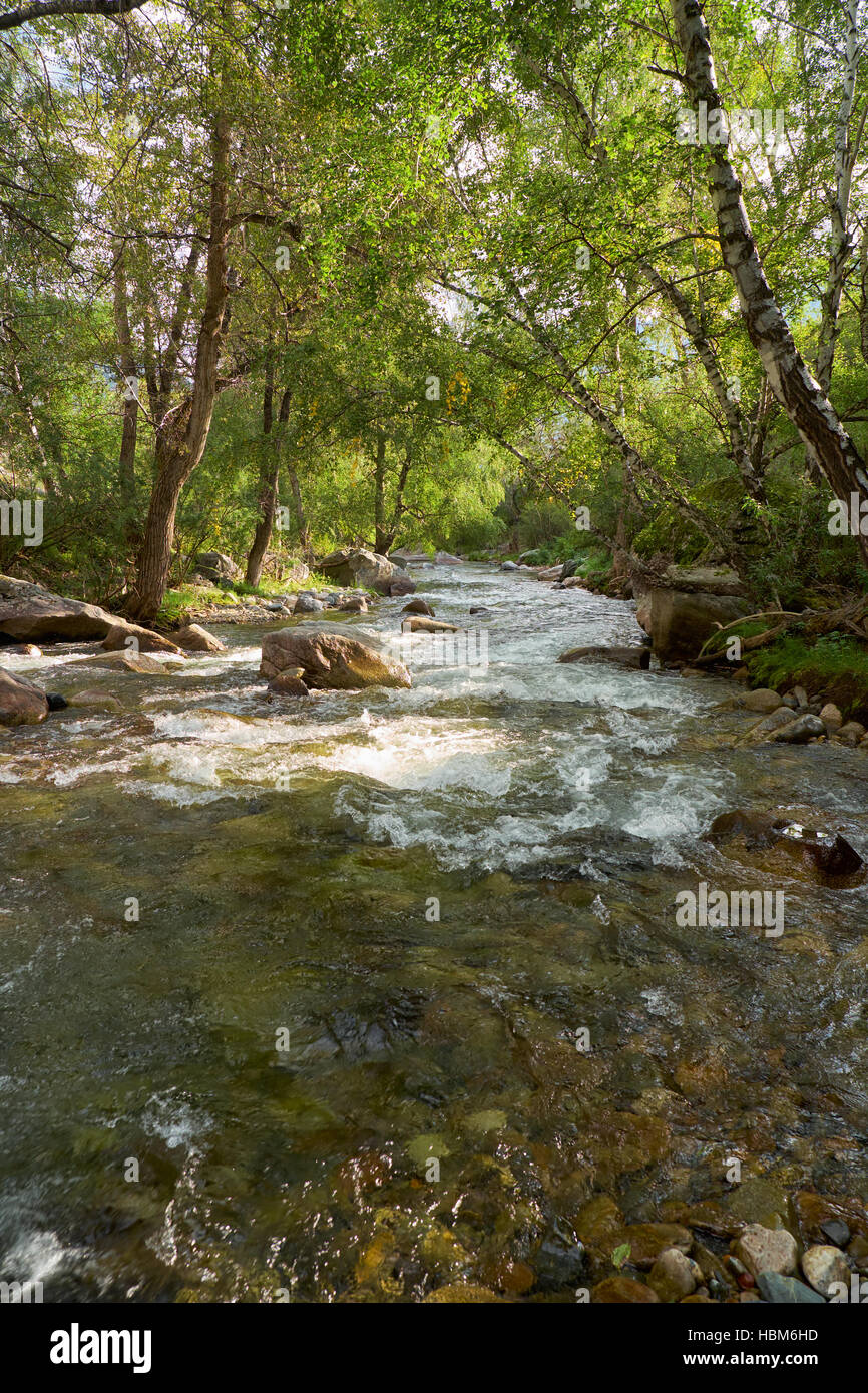Altai Landschaft Fluss Ilgumen Stockfoto