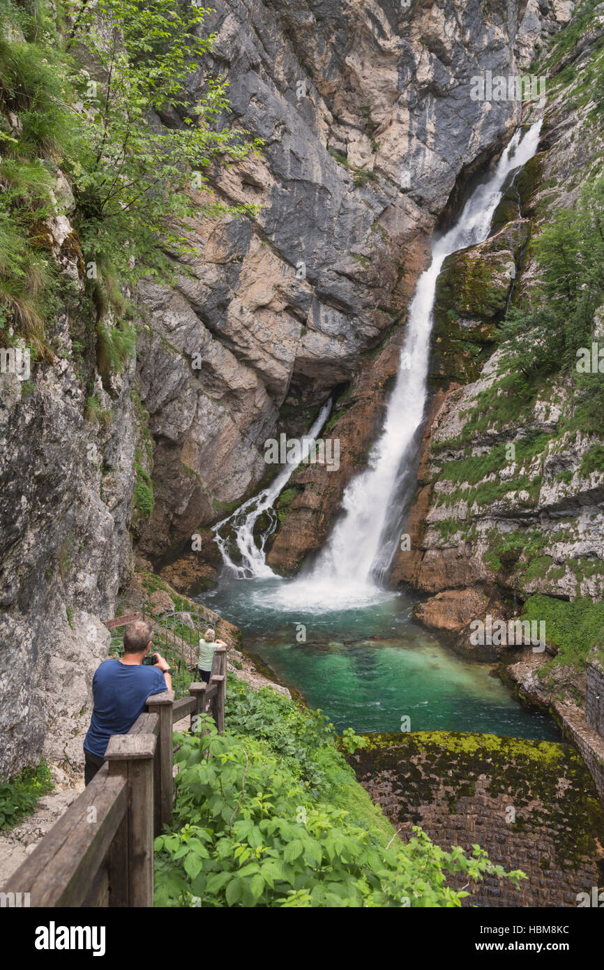 Nationalpark Triglav, Sloweniens.  Savica-Wasserfall in Bohinj See eingespeist. Stockfoto