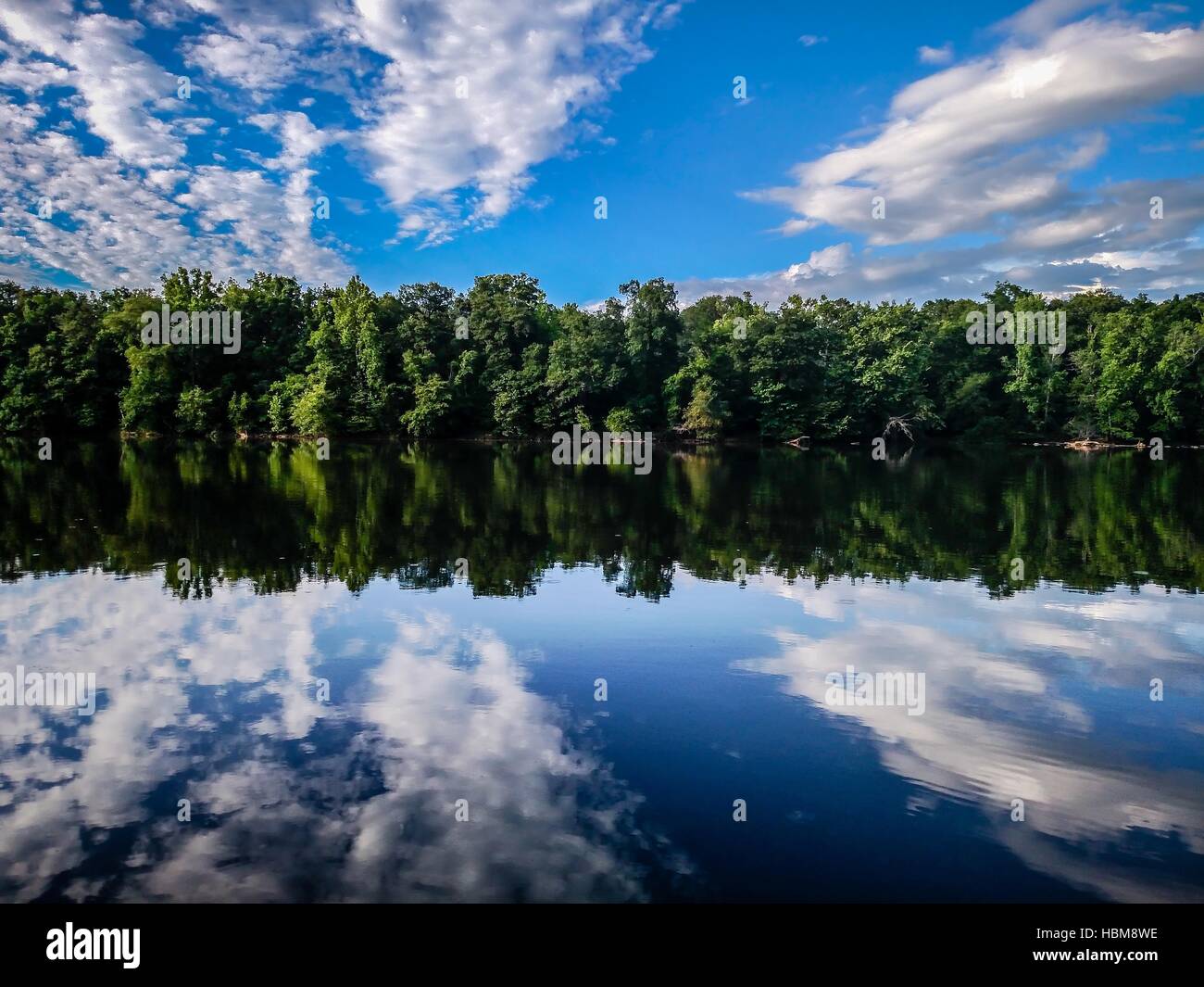 Wald Treeline Reflexionen in Catawba river Stockfoto