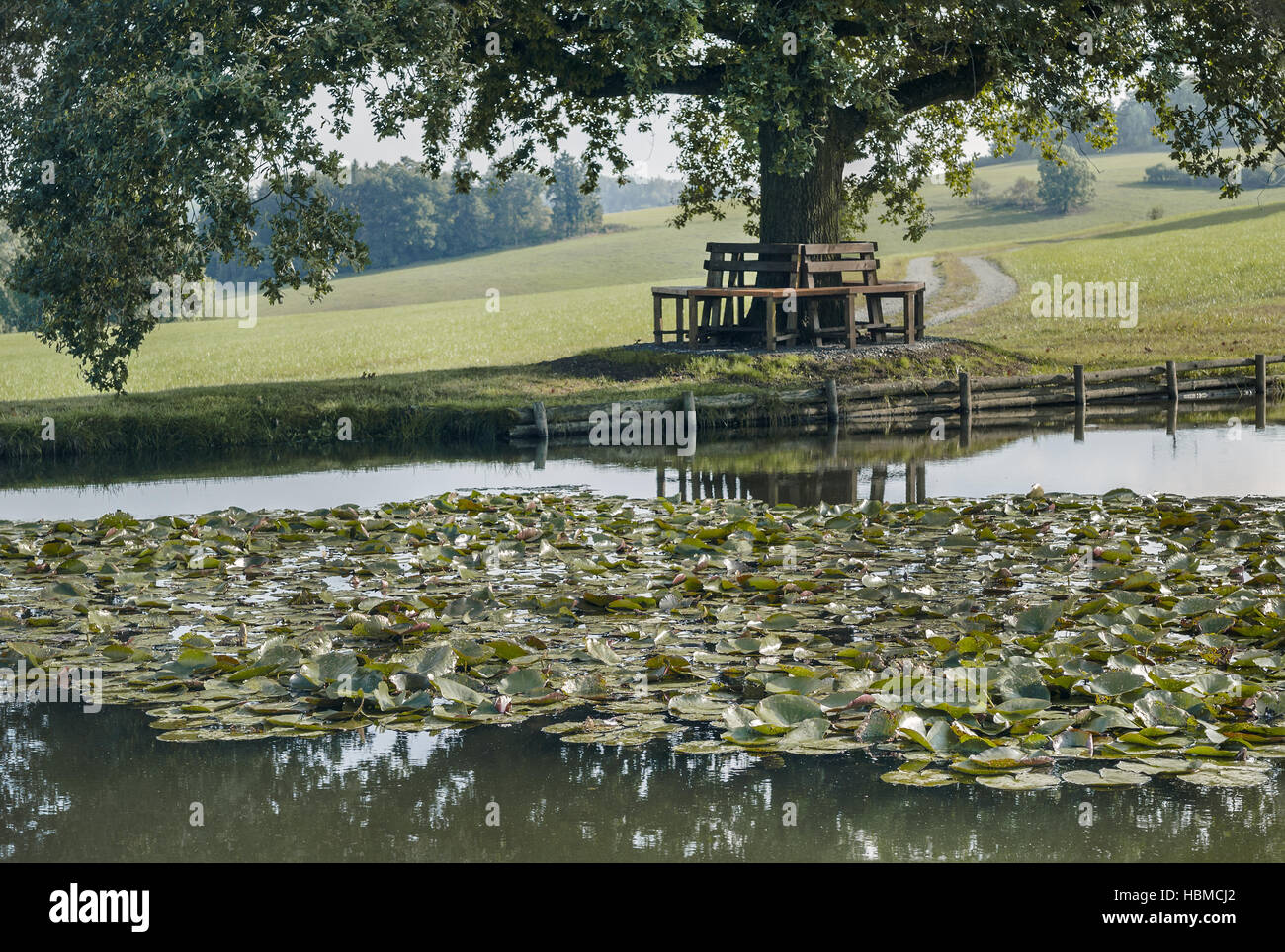 Die reine bank Fotos und Bildmaterial in hoher Auflösung Alamy