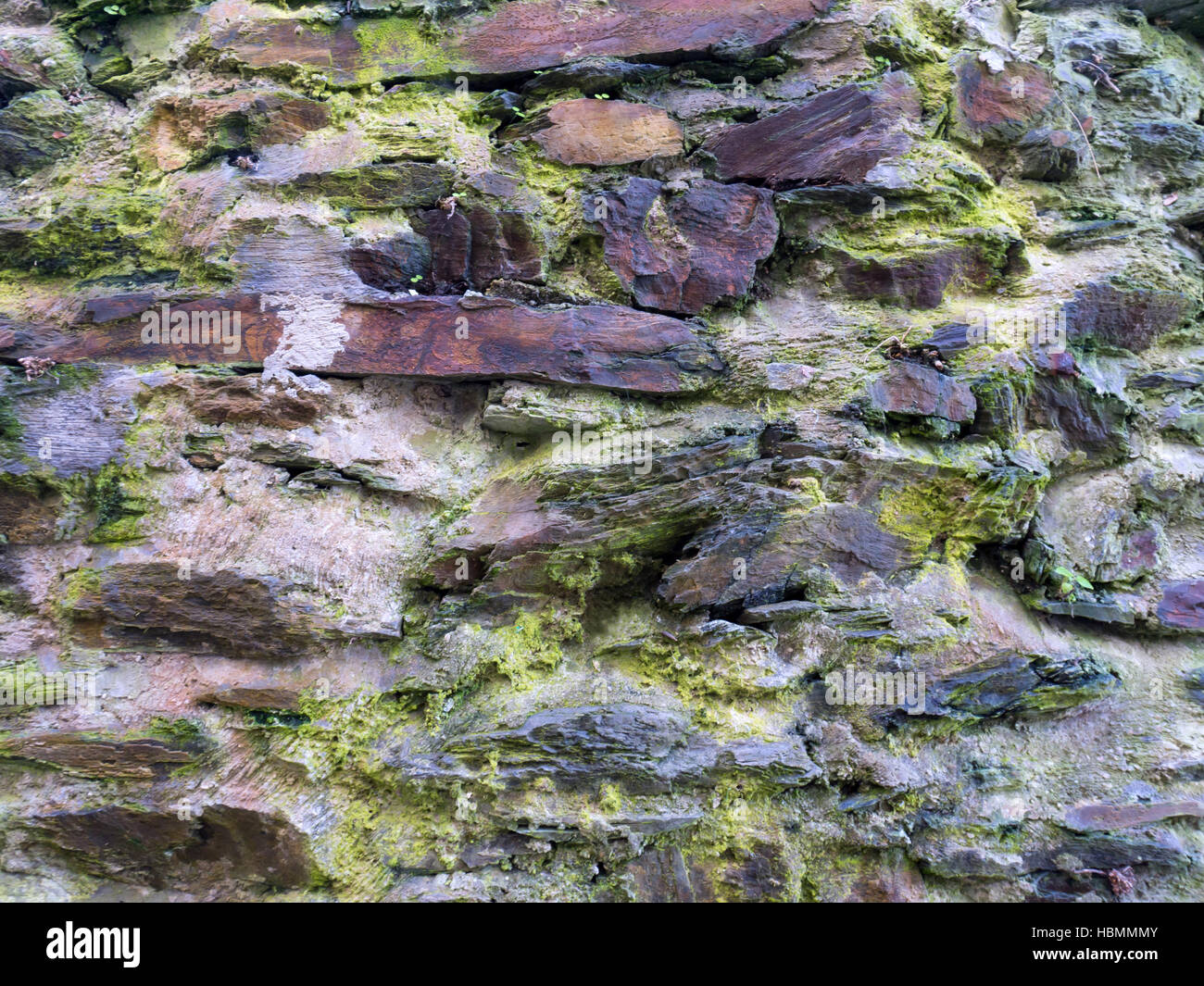 Bunte alte verwitterte Wand bedeckt mit grünem Moos Hintergrund Stockfoto