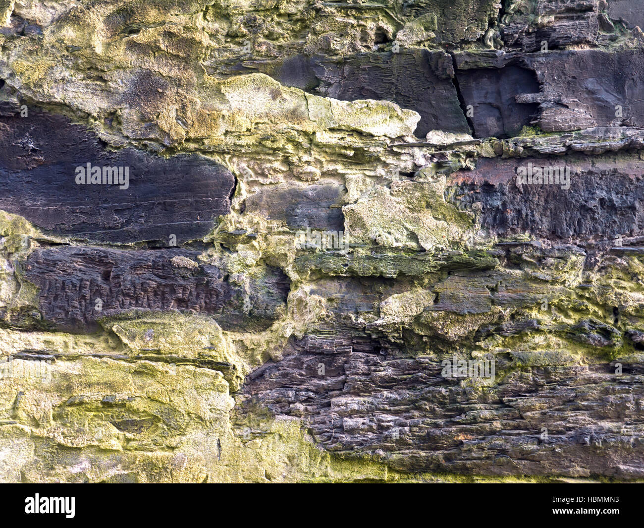 Bunte alte Steinmauer mit grünem Moos Closeup Hintergrund bedeckt Stockfoto