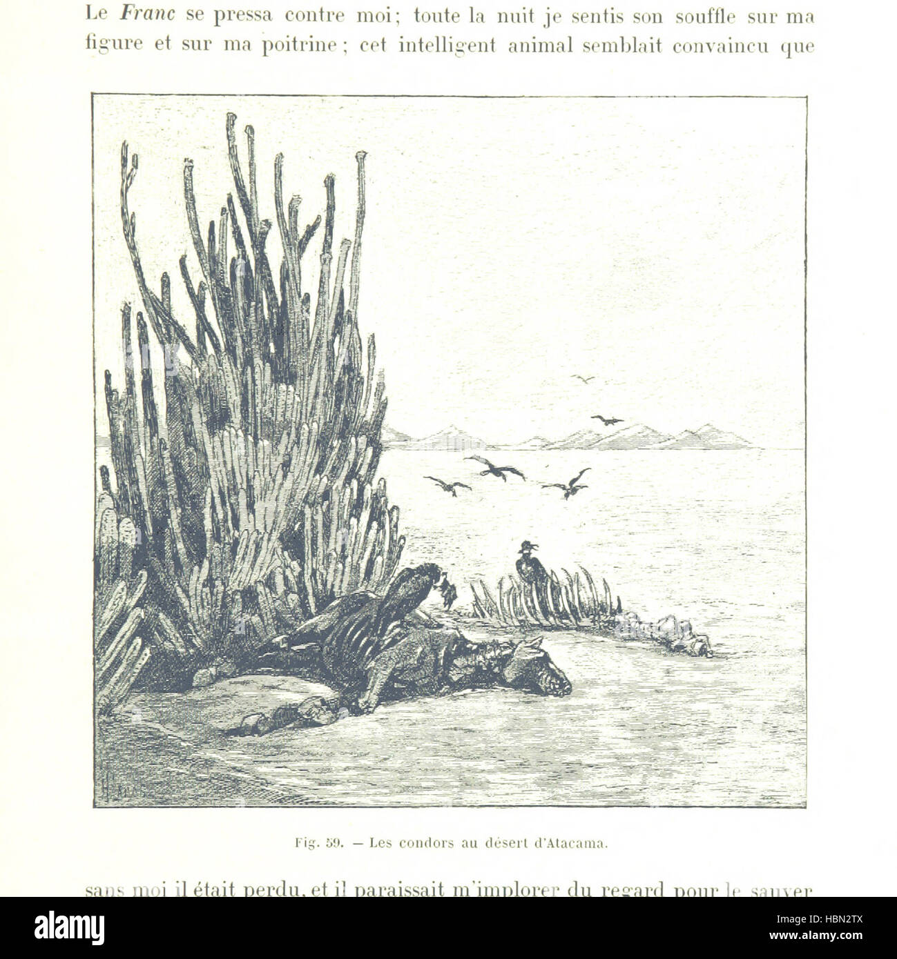 Bild entnommen Seite 351 von "Bolivien. Sept Années d'explorations de voyages et de Séjours Dans l'Amérique Australe... Préface de M. Ferdinand De Lesseps. Ouvrage Illustré... par Henri Lanos Bild entnommen Seite 351 von "Bolivien Sept Années d'explorations Stockfoto
