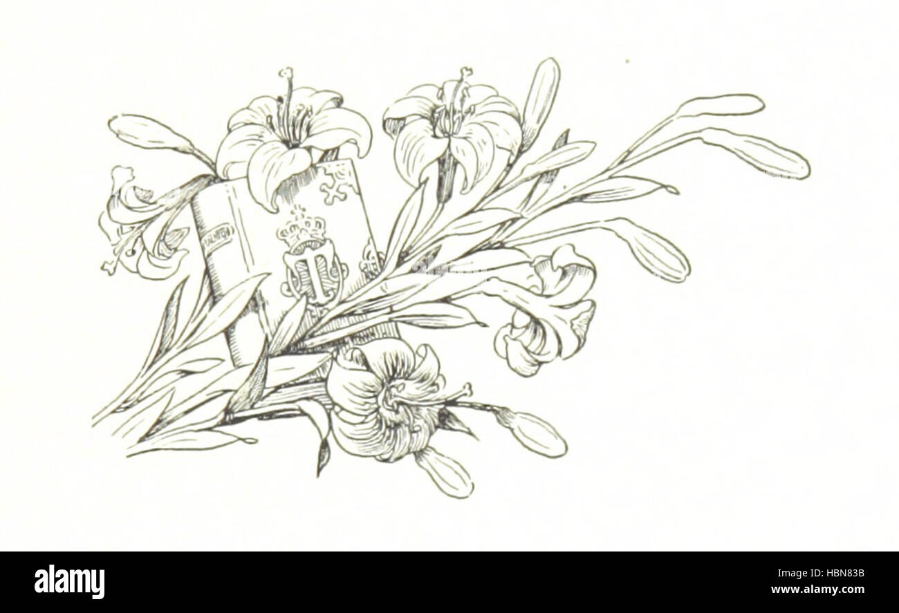 Die Seite zeigt die dänische Königsfamilie mit Monarchen, Palästen, Hofmitgliedern, Zeremonien, Porträts, historische Ereignisse, Abstammung, Architektur und kulturelle Traditionen. Die Illustrationen zeigen das königliche Erbe, die Dynastie und bedeutende Familienmitglieder Stockfoto