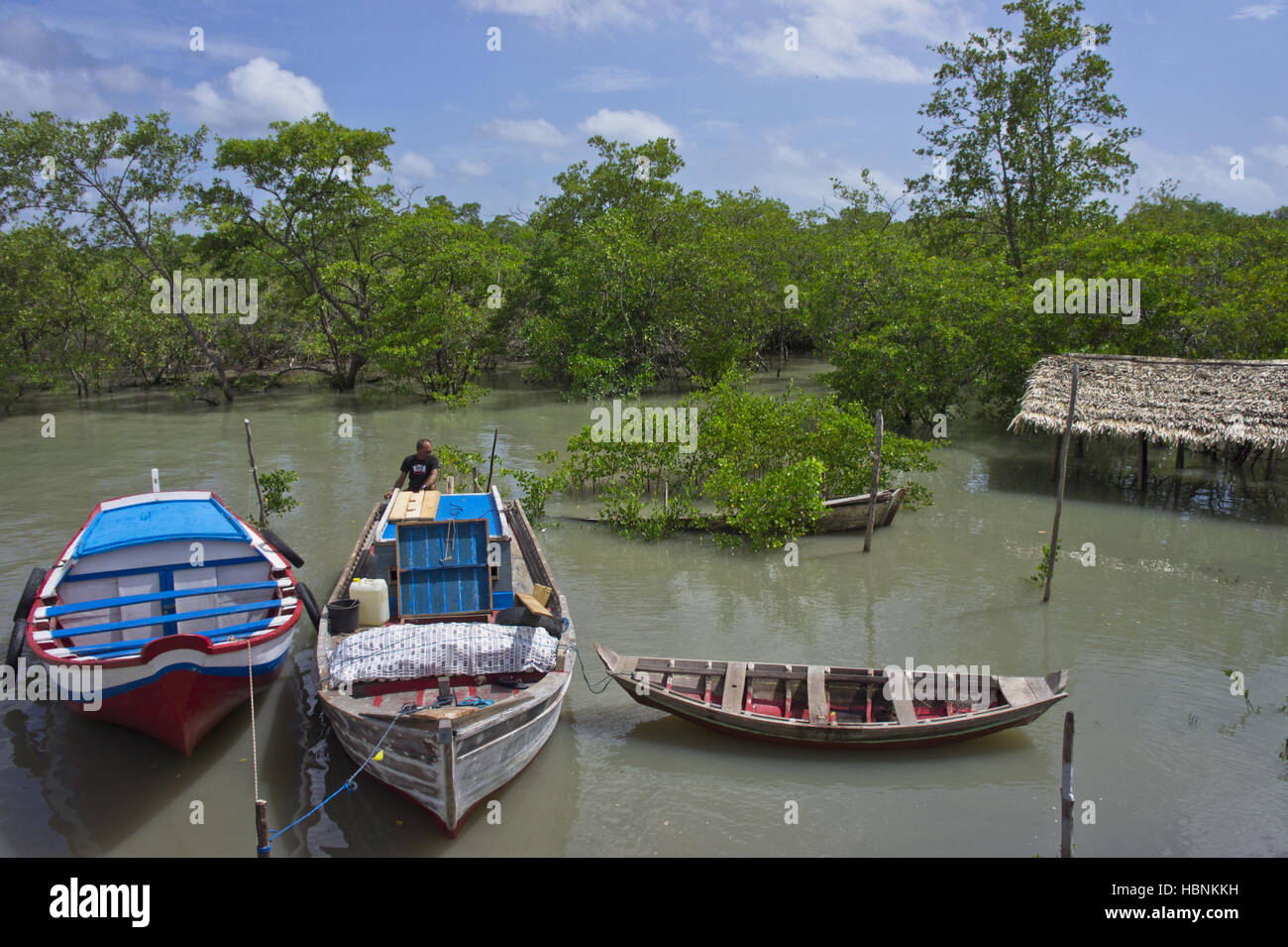 Alcantara, Maranhao, Brasilien, Angelboote/Fischerboote Stockfoto