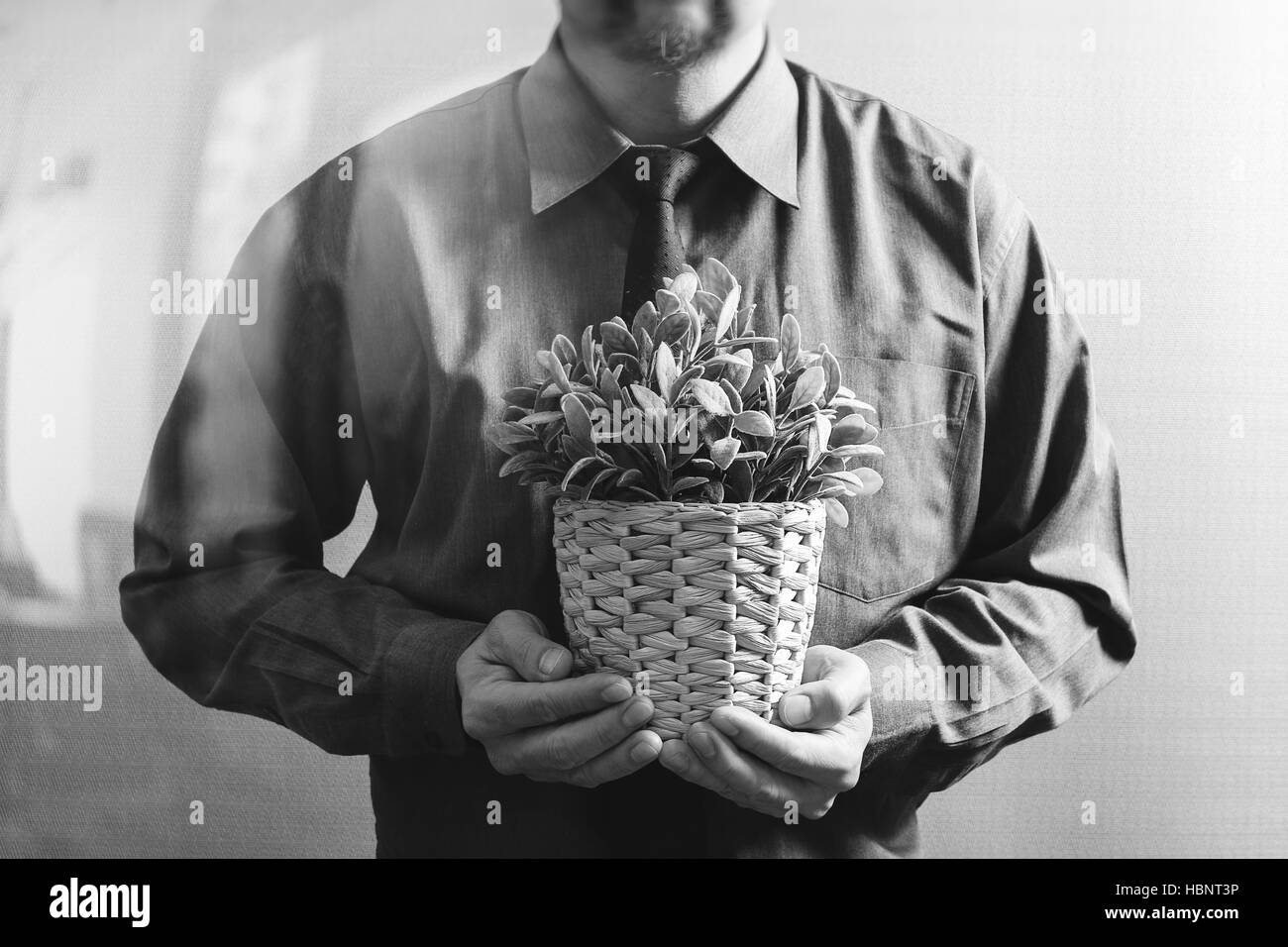 Erfolg Geschäftsmann hält Vase Pflanze, Baum, Vorderansicht, Filter-Effekt, schwarz weiß Stockfoto