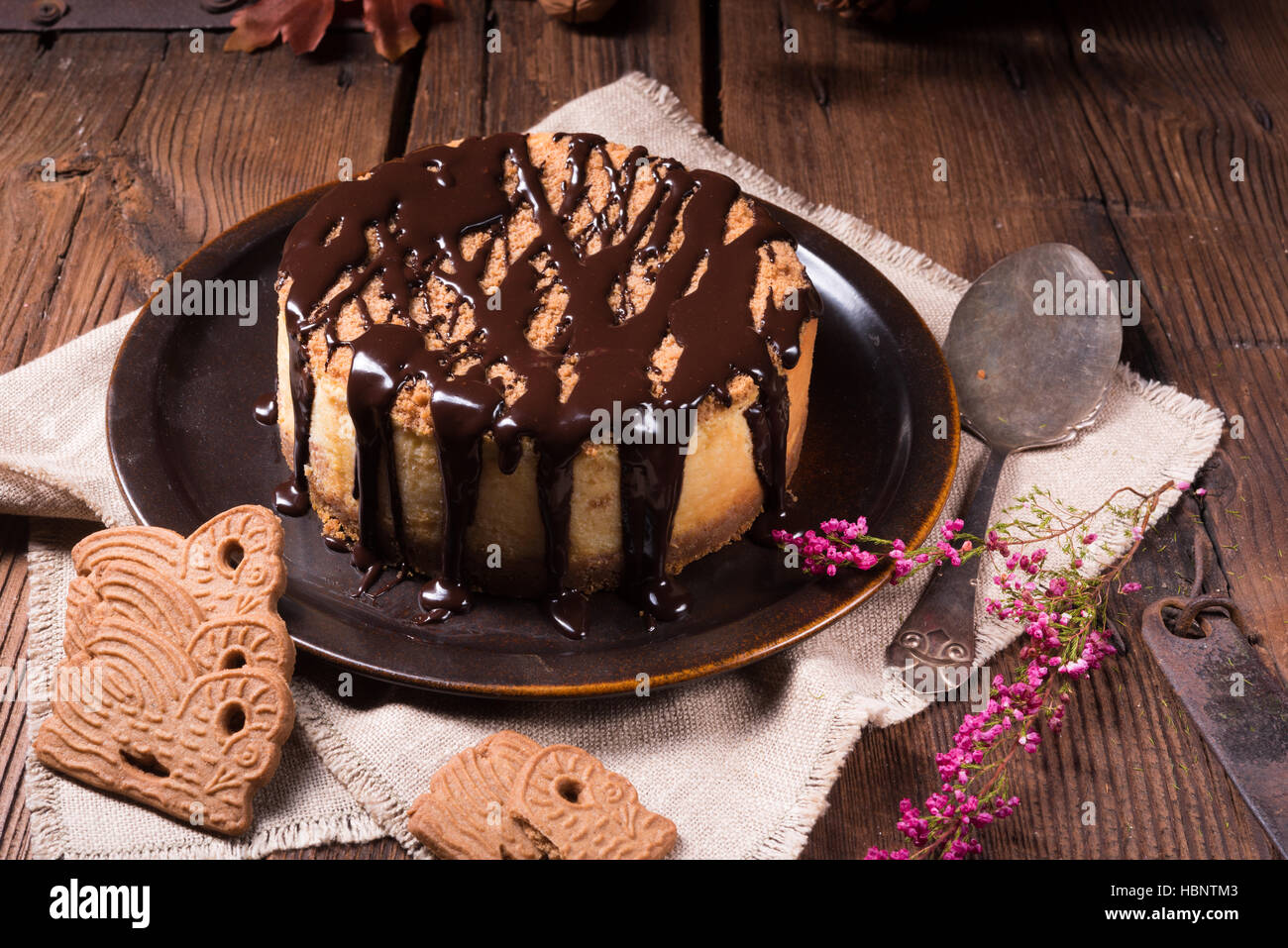 Schokolade Käsekuchen Stockfoto