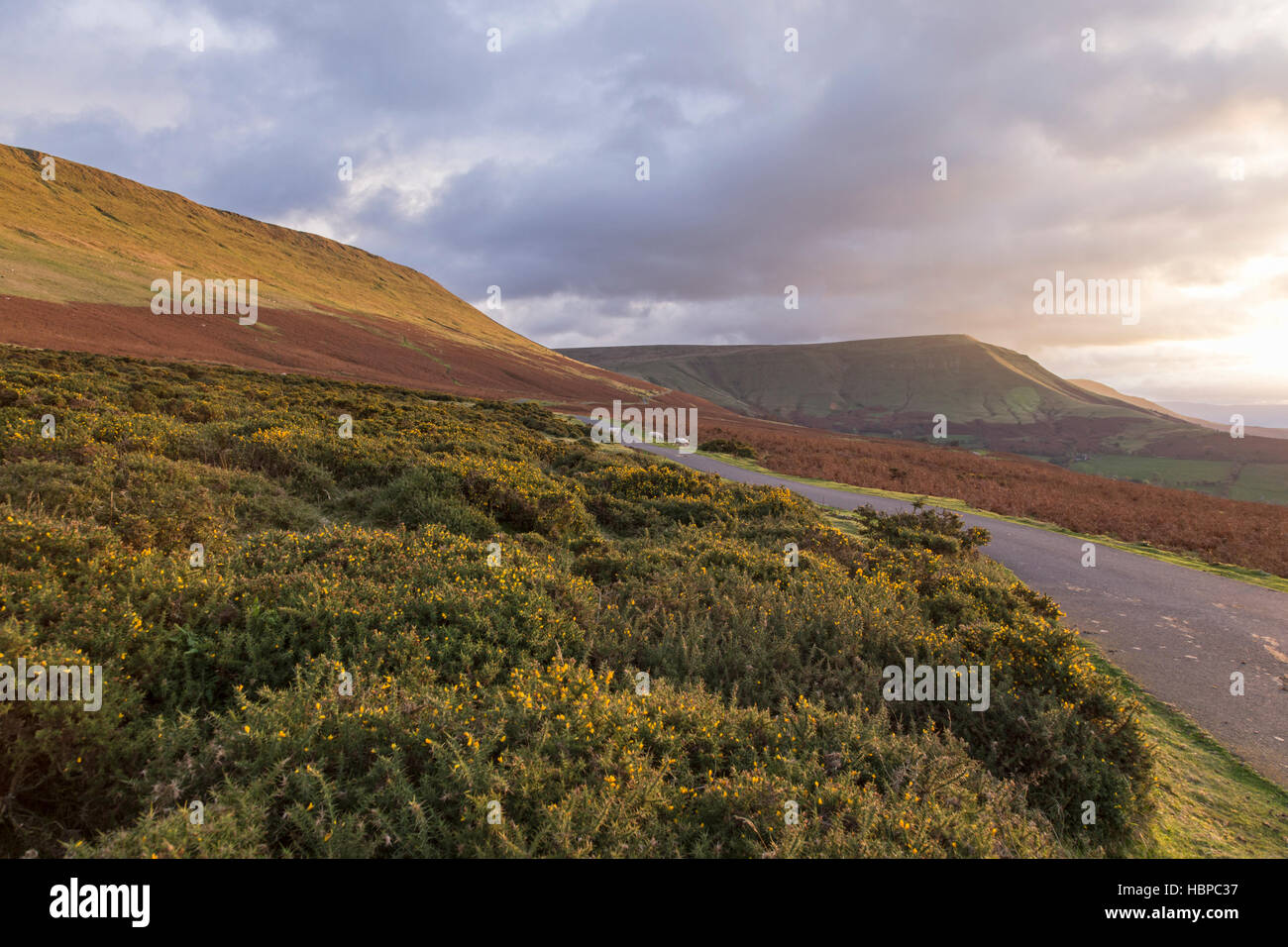 Mit Blick auf die Berge oder Twmpa Lord Hereford Knopf an einem Herbstabend aus dem Evangelium Pass, Schwarze Berge. Stockfoto