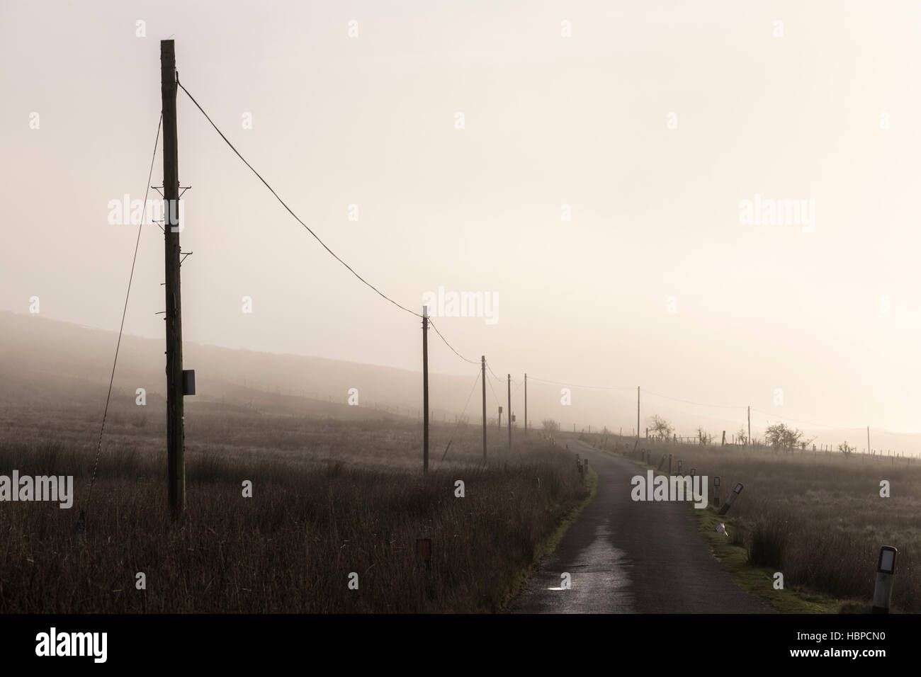 Ländliche Telefonleitungen an einem nebligen Tag, England, UK Stockfoto