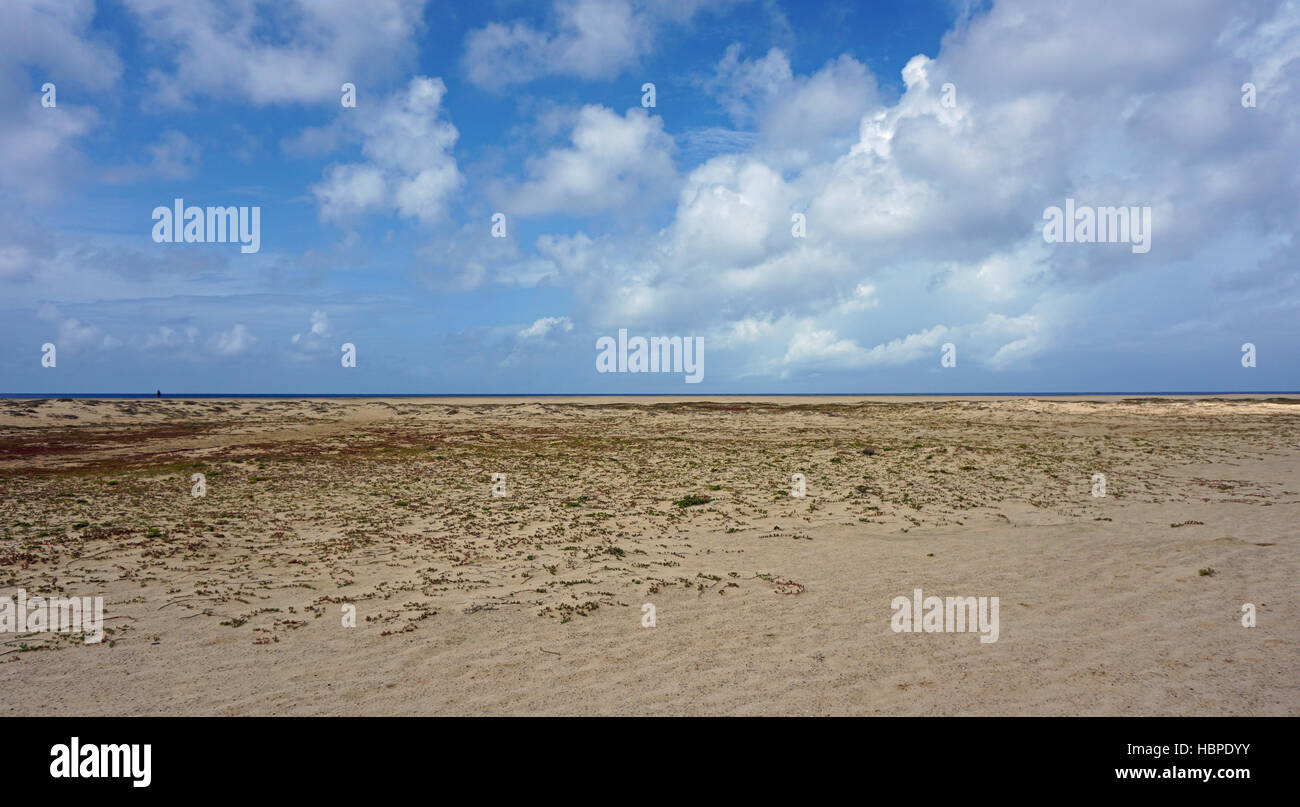 Strand von Santa Maria auf Kap verden Stockfoto