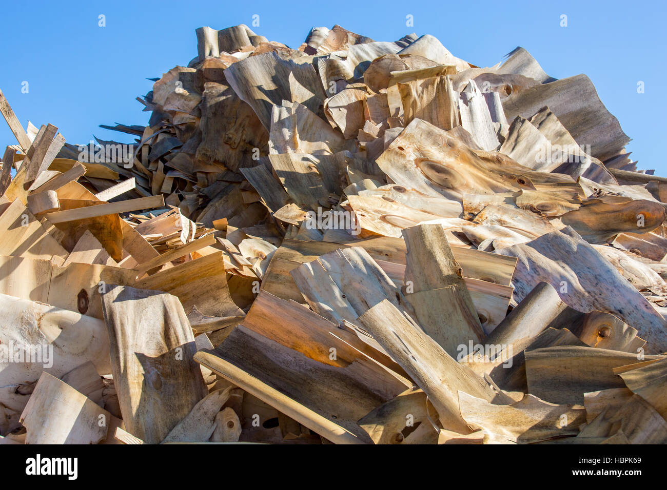 verarbeitete Holzabfälle und Holzwolle Stockfoto