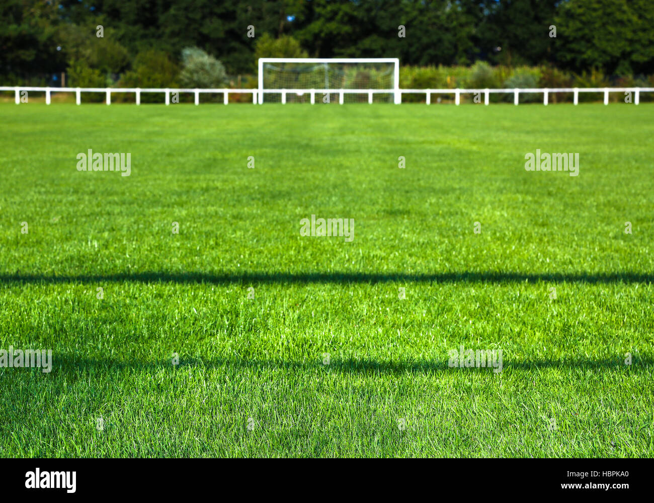 Wiese und Torpfosten an sonnigen Tag Stockfoto