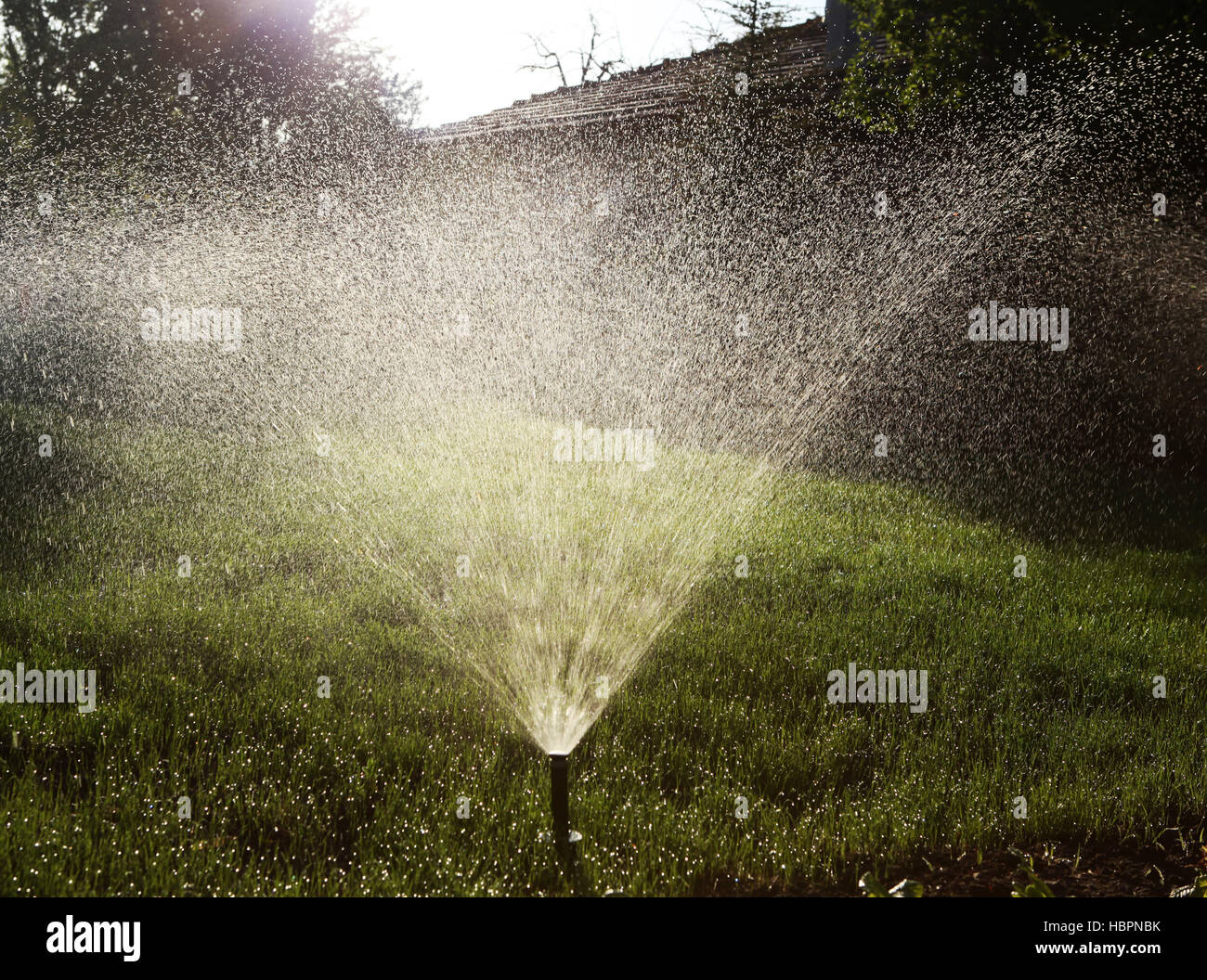 der automatische Bewässerung Sprinkler Stockfoto