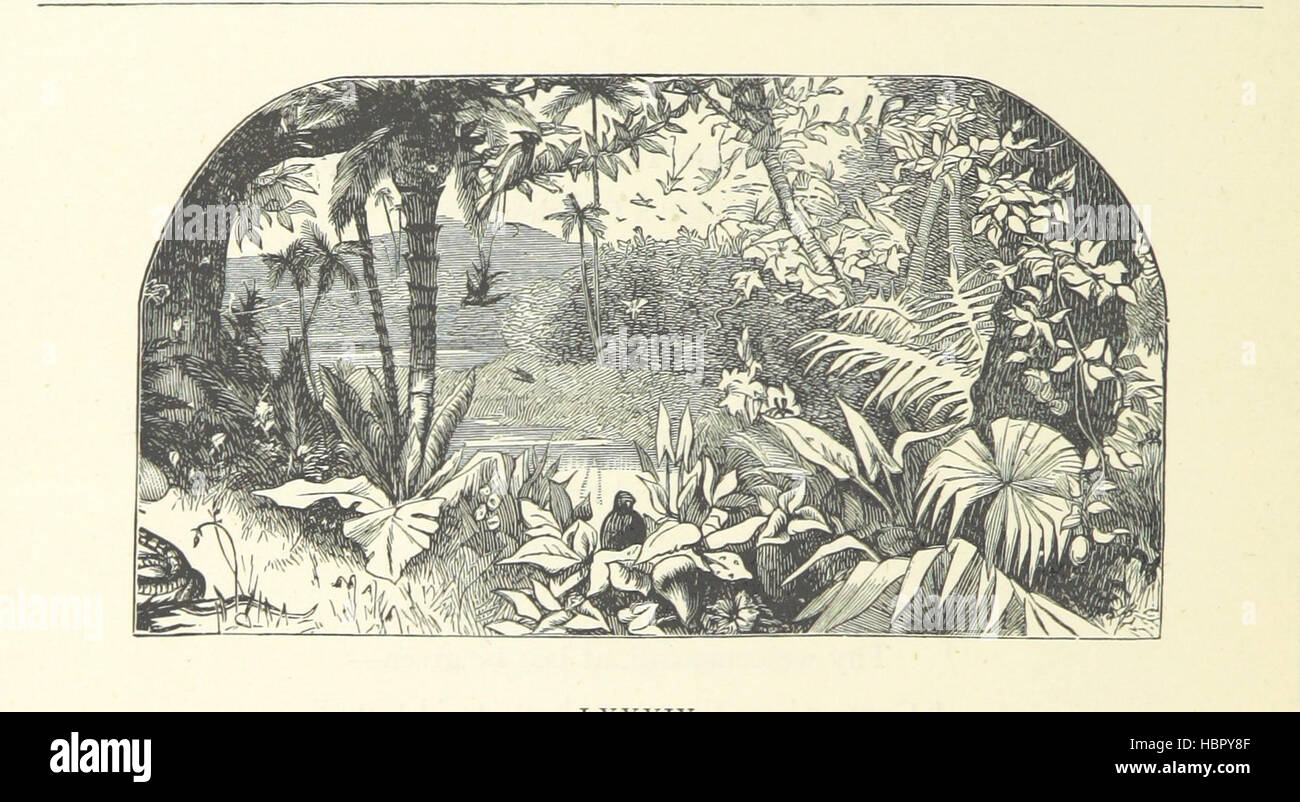 Bild von Seite 346 "[The Christian Year, etc..]" Bild von Seite 346 "[The Christian Year, etc.]" Stockfoto