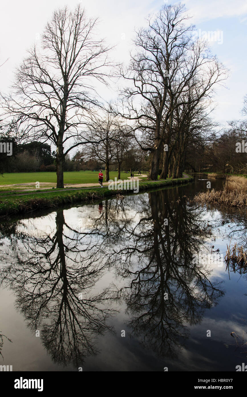 Bute Park. Cardiff, Wales, UK Stockfoto