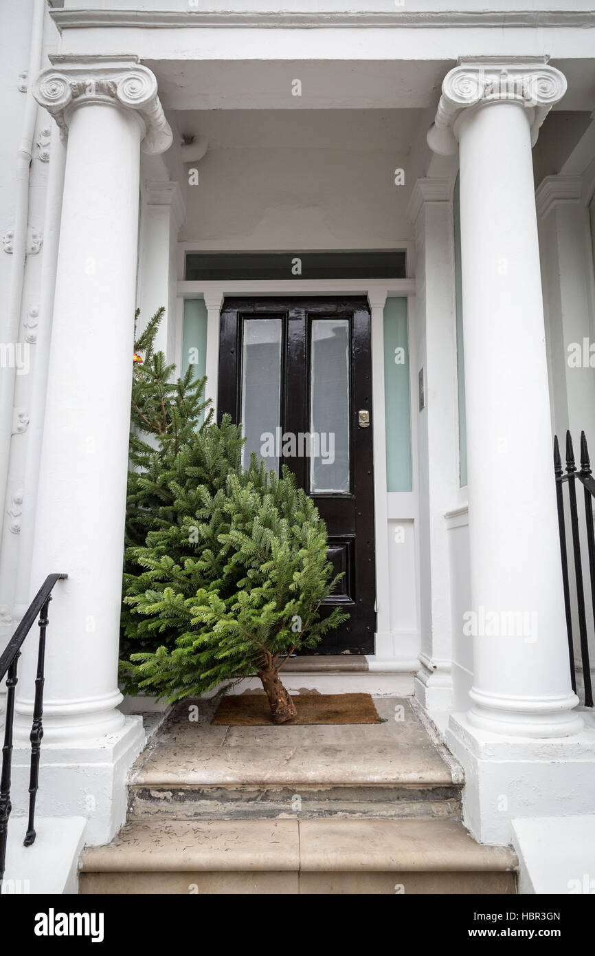 Ein vor kurzem gelieferter Weihnachtsbaum wartet ein Wohn Tür Eingang in central London, UK. Stockfoto
