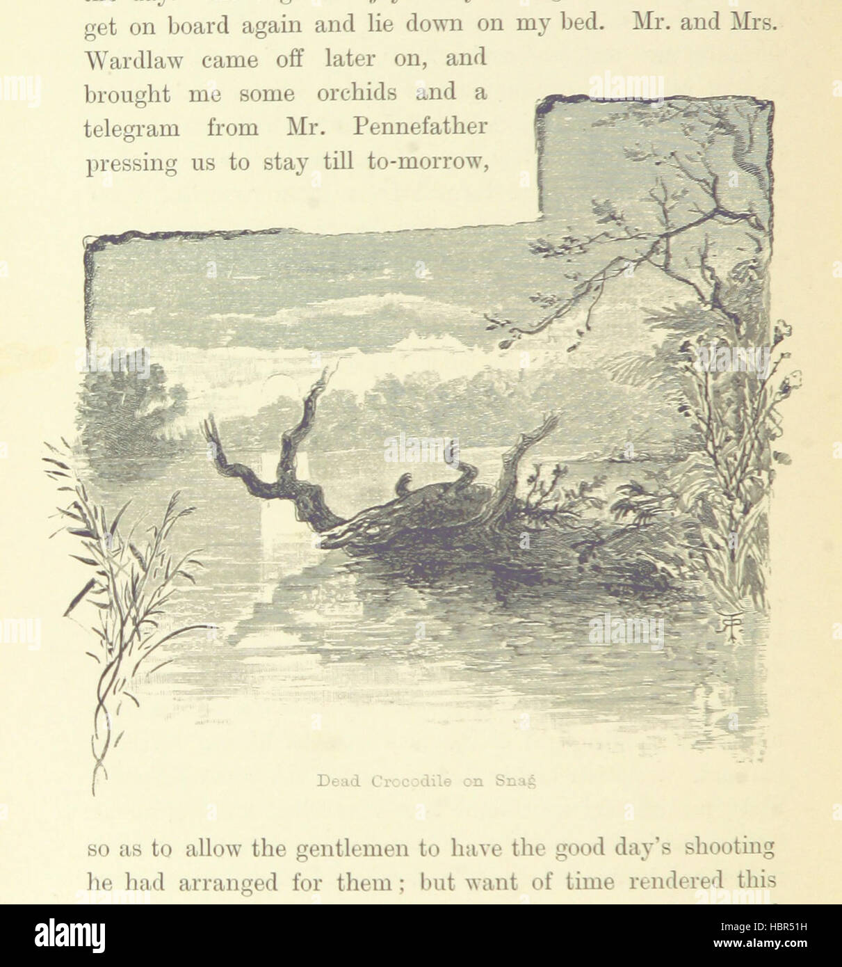 Bild entnommen Seite 452 von "The Last Voyage... 1887. [Lady Brassey Zeitschriften und Noten von ihrer letzten Reise in die "Sonnenstrahl", bearbeitet von Lady Barker. Mit einer kurzen Abhandlung von Lord Brassey. Mit Illustrationen und einer Karte.] (Siehe Anhang. Teil I. Reise aus Darnl Bild entnommen Seite 452 von "The Last Voyage Stockfoto