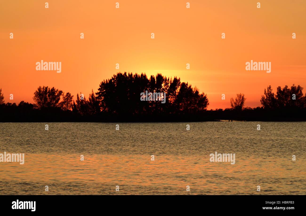 Romantischer goldener Winteruntergang über einer kleinen Insel am Hudson Beach in Hudson, Florida am Golf von Mexiko. Stockfoto