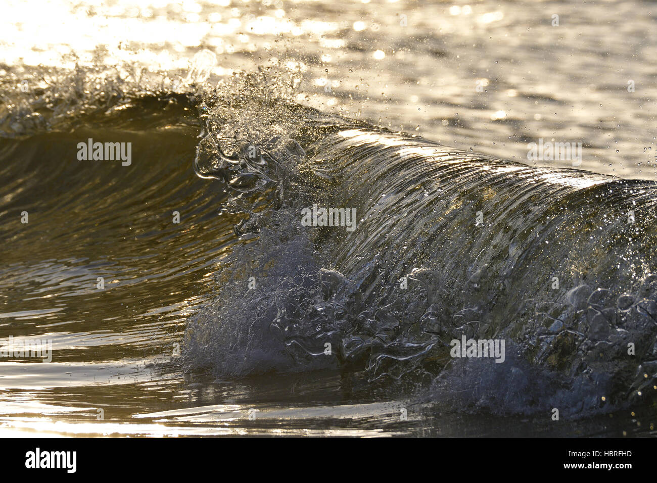 Welle bei Gegenlicht Stockfoto