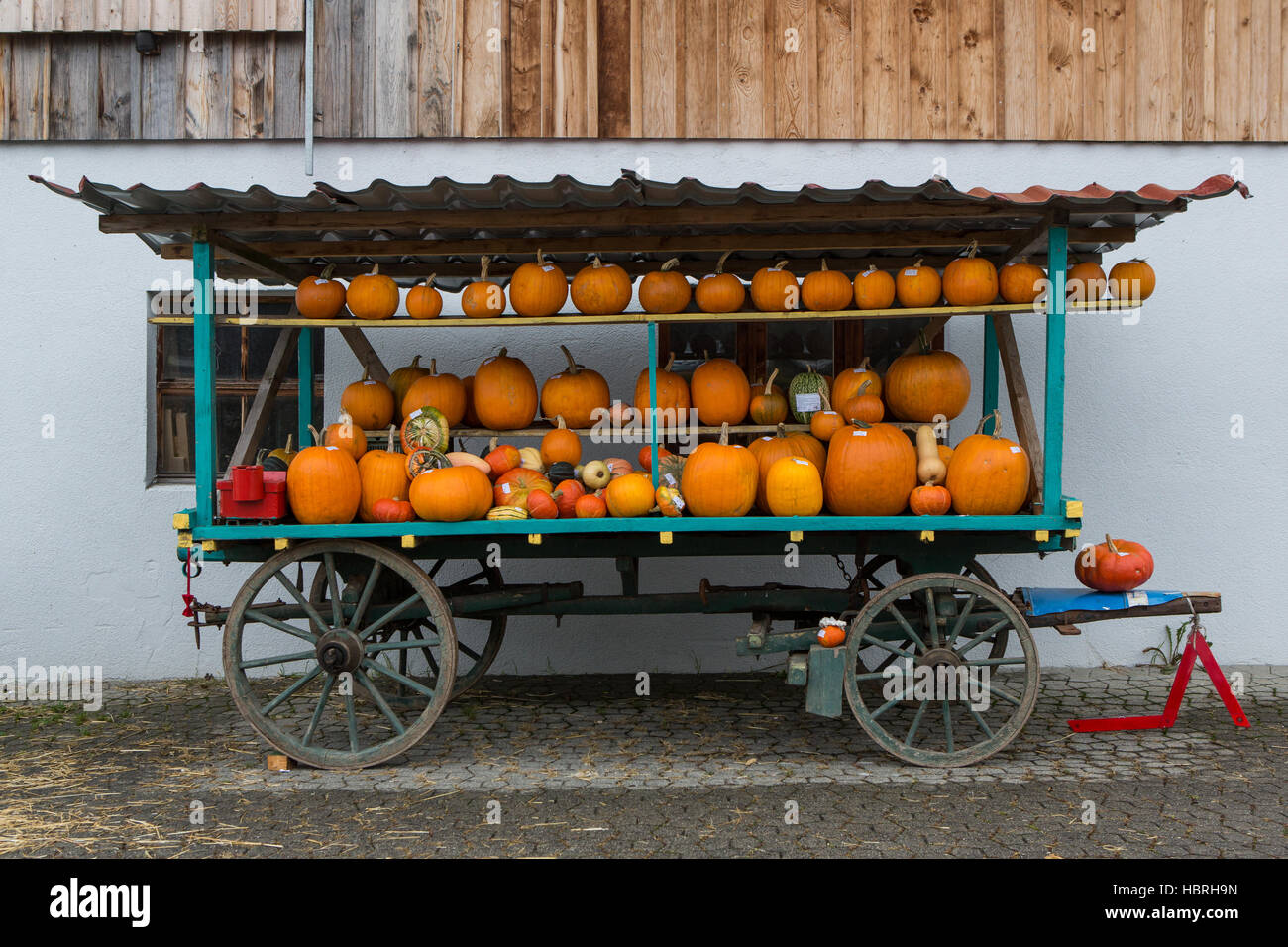 Alte Leiter mit Kürbissen Stockfoto