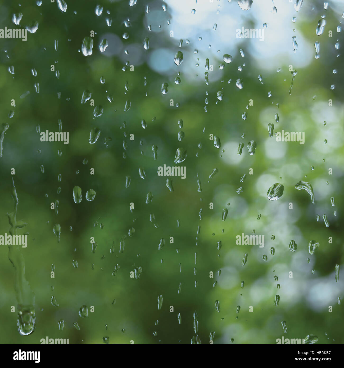 Verregneten Sommertag, detaillierte Regentropfen auf Fensterglas, große Makro Nahaufnahme Muster Stockfoto