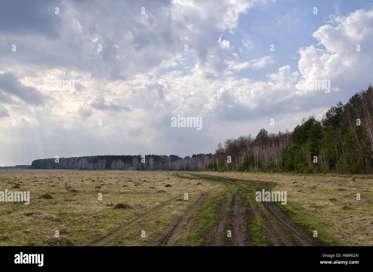 Frühlingslandschaft mit einer Straße und Wolken Stockfoto