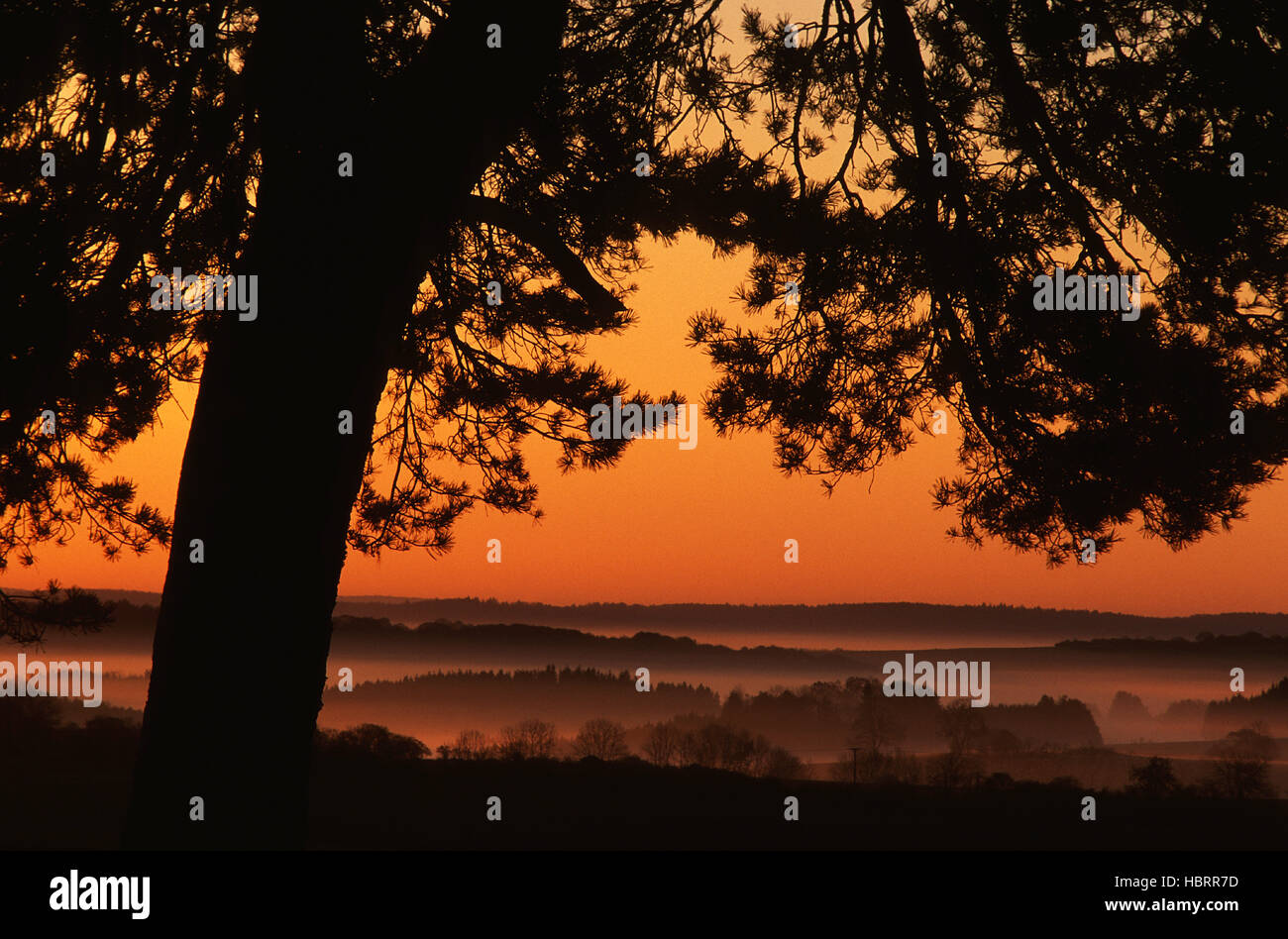 "Sonnenaufgang" Auf der Schwaebischen Alb Stockfoto