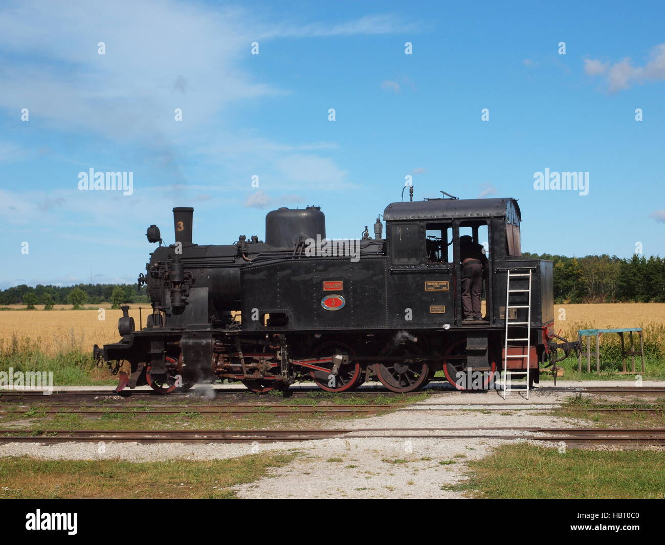 Drei-Fuß-Schmalspur-Museumsbahn Stockfoto