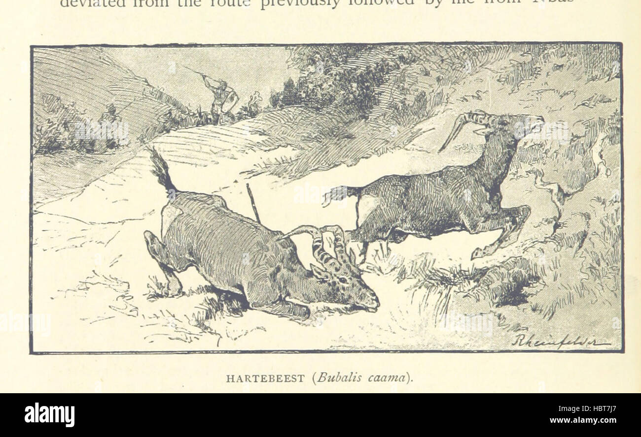 Bild entnommen Seite 188 von "Reisen in Afrika in den Jahren 1875-1878 (1879-1883-1882-1886)... Übersetzt aus dem deutschen von A. H. Keane... Illustrierte "Bild entnommen Seite 188 von" Reisen in Afrika während Stockfoto