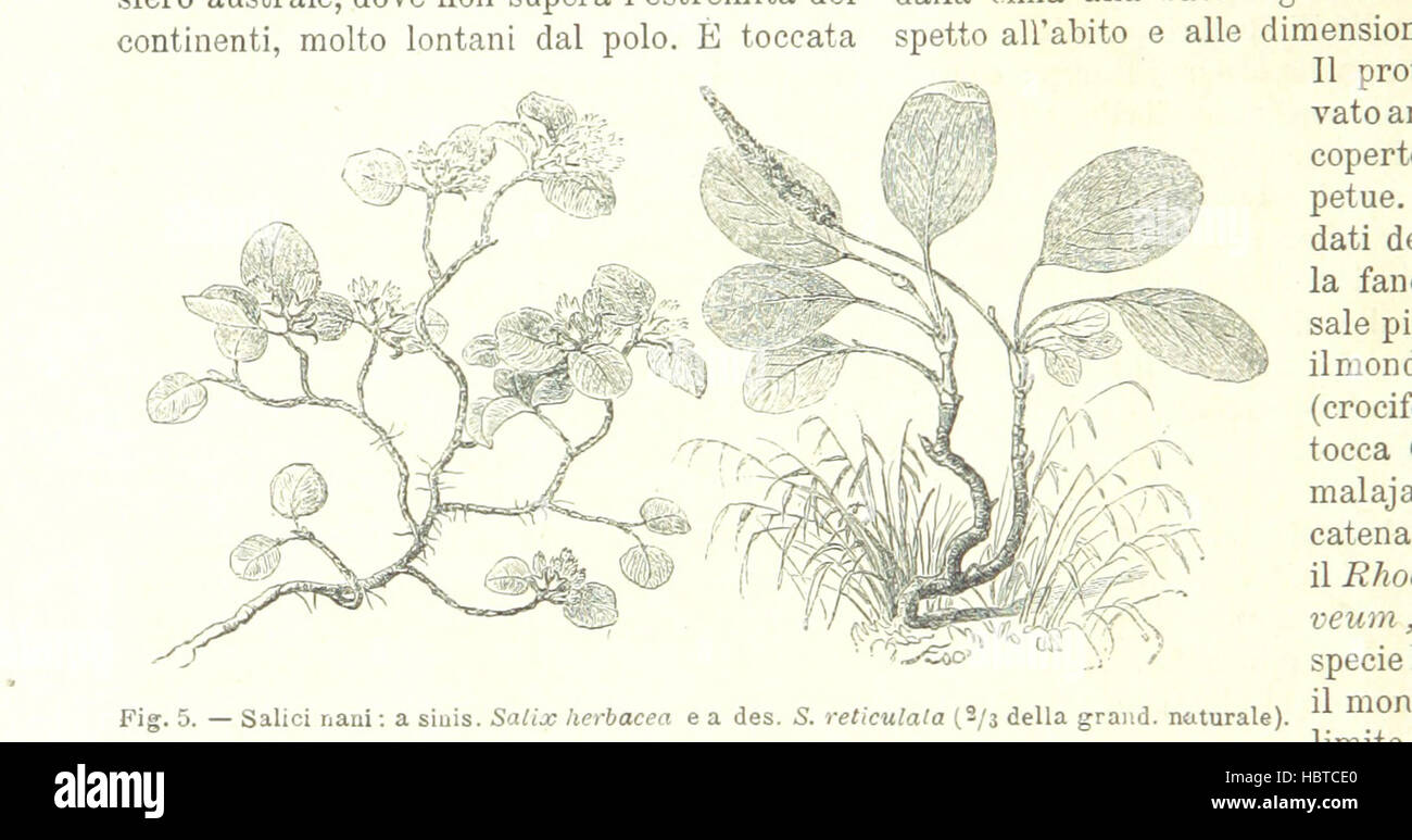 La Terra, Trattato Popolare di Geografia Universale pro G. Marinelli Ed