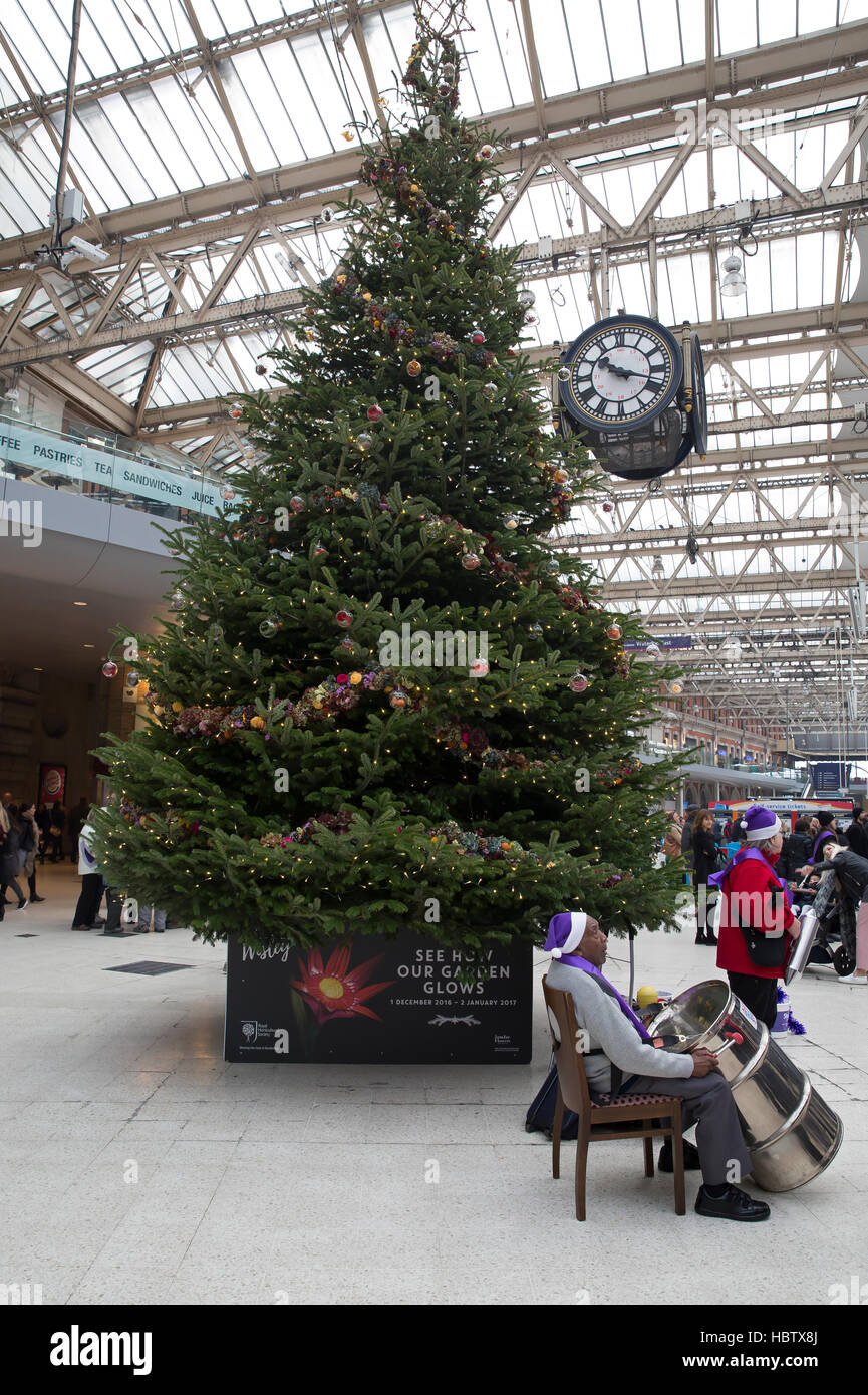 Nostalgische Stahlband spielen, indem Sie den Weihnachtsbaum in Waterloo Station Geldbeschaffung für die Stroke Association Stockfoto