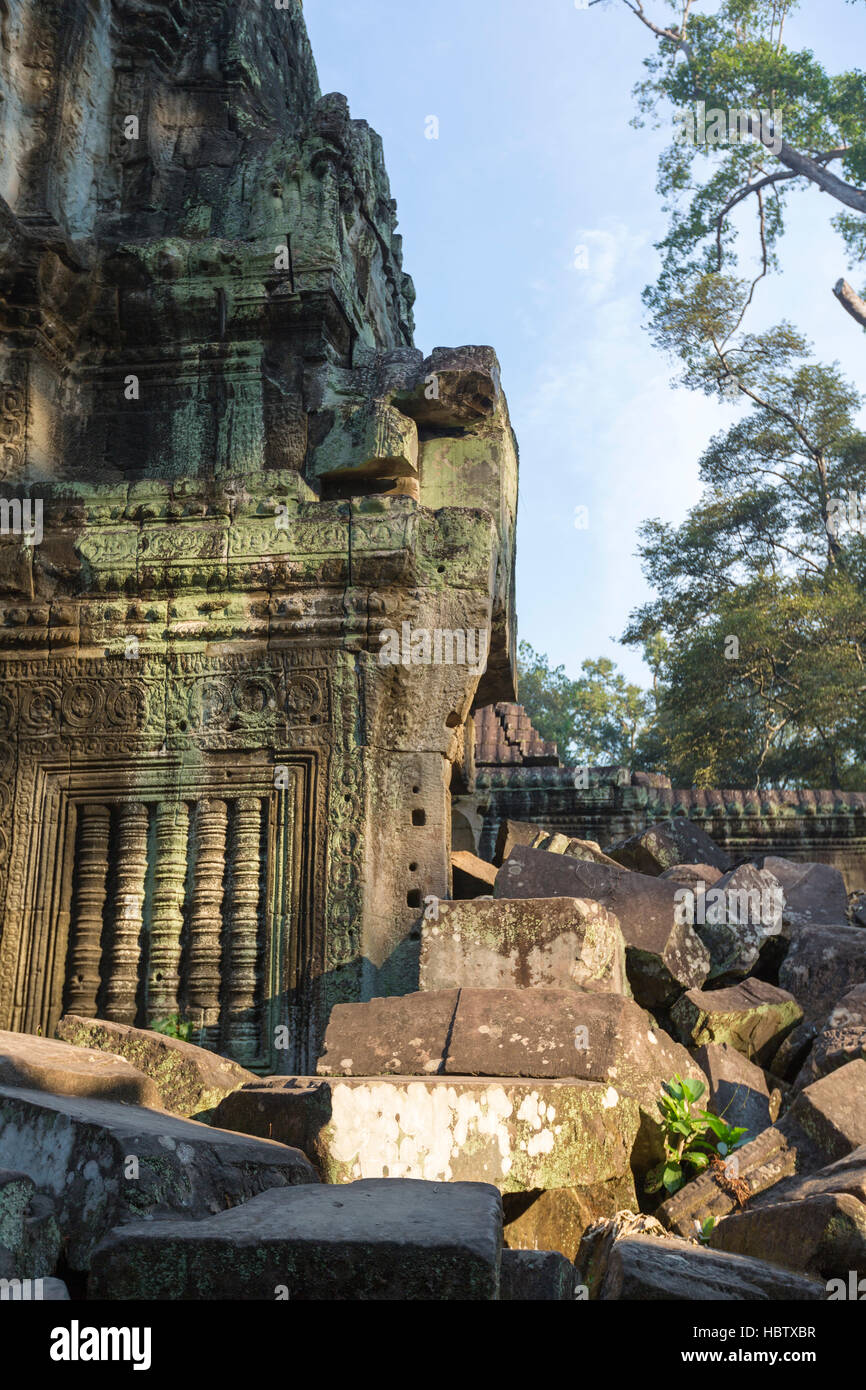 Baum auf Steinmauer von Prasat Ta Prohm Tempel in Angkor Thom Stockfoto