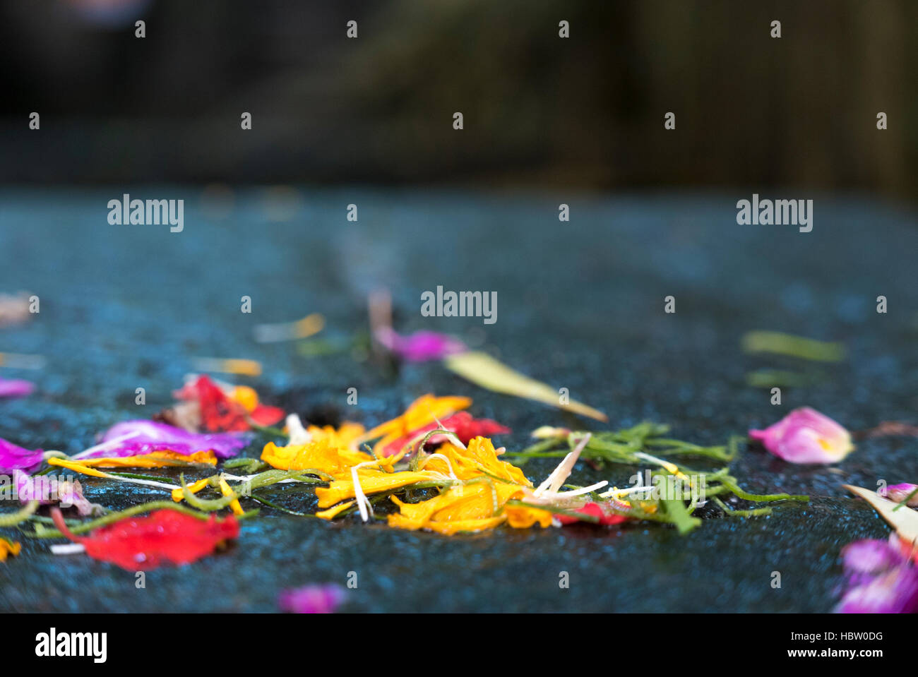 Religiöse Angebote in Bali, bunte Blumen auf alten Steinen. Stockfoto