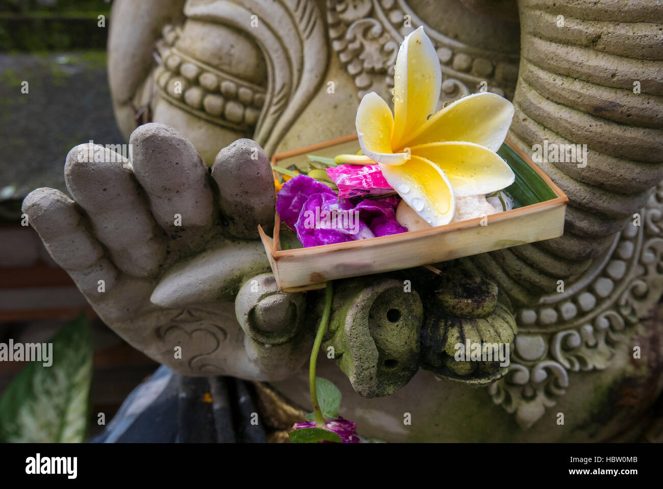 Religiöse Angebot in Genesh Statue Hand, Bali Stockfoto