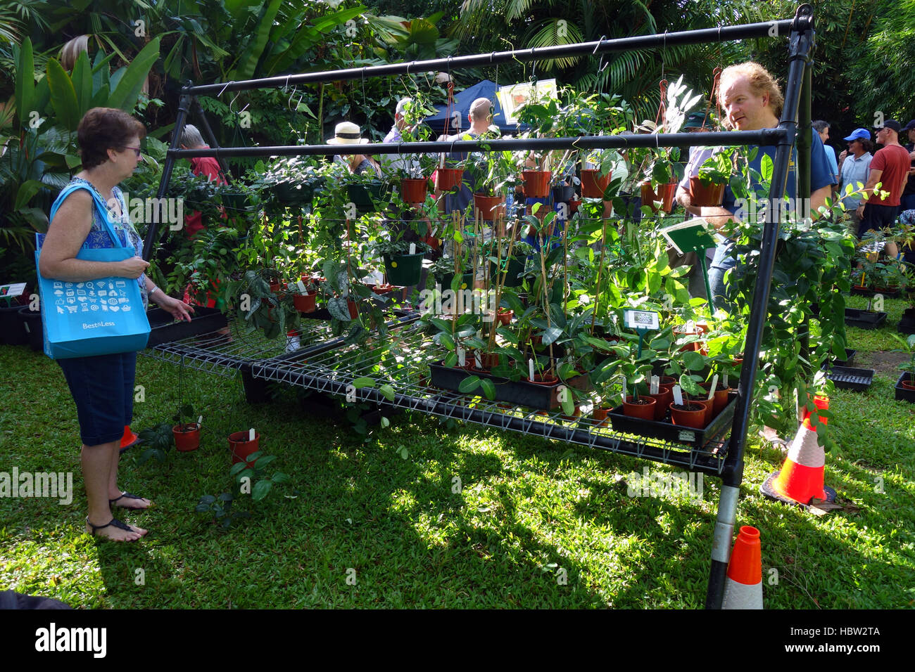 Menschen kaufen seltene tropische Pflanzen an Flecker Botanic Gardens Pflanzenverkauf, Edge Hill, Cairns, Queensland, Australien. Weder Herr PR Stockfoto