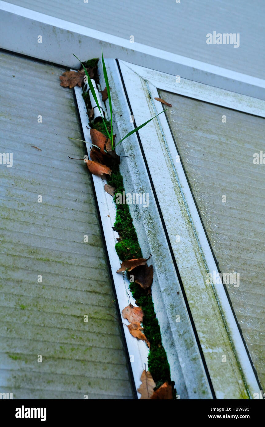 Wintergarten Dach In Der Notwendigkeit Der Reinigung Stockfotografie Alamy