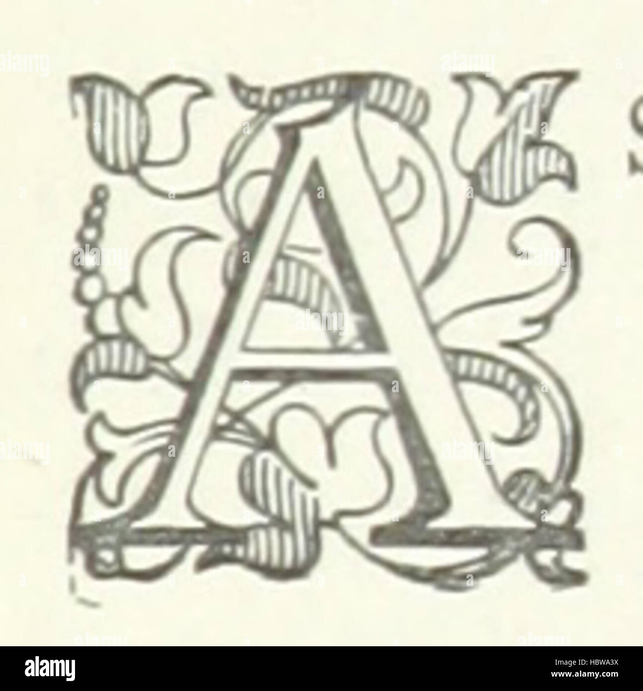 Diese Seite beschreibt das Leben der Studenten an der Oxford University, einschließlich Akademiker, soziale Aktivitäten, College-Gebäude, Traditionen, Veranstaltungen und Illustrationen von Campus-Szenen. Stockfoto