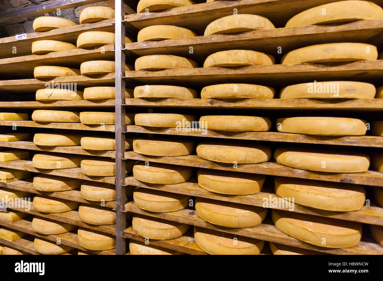 Gewürz-Lager von Käse Fontina Valpelline, Aostatal, Italien Stockfoto